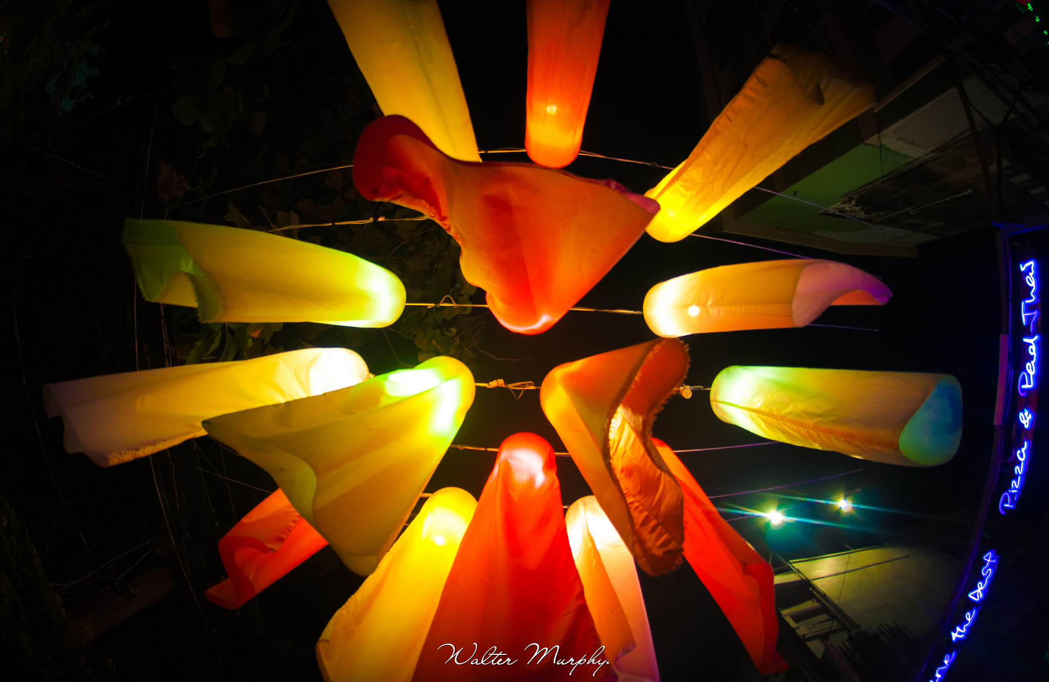 Nikon AF DX Fisheye-Nikkor 10.5mm F2.8G ED sample photo. Look up. photography