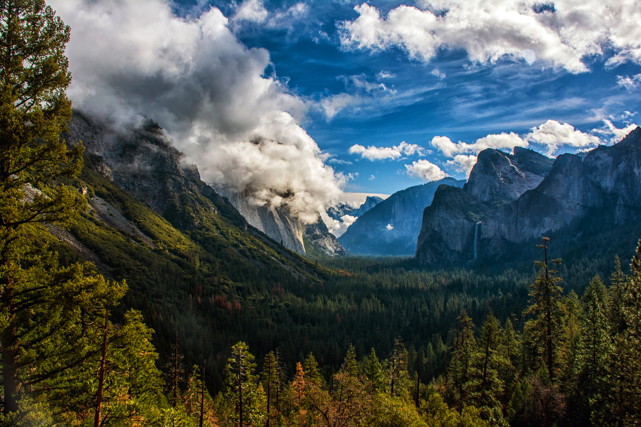 Nikon D5200 + Tamron AF 18-270mm F3.5-6.3 Di II VC LD Aspherical (IF) MACRO sample photo. Yosemite morning photography