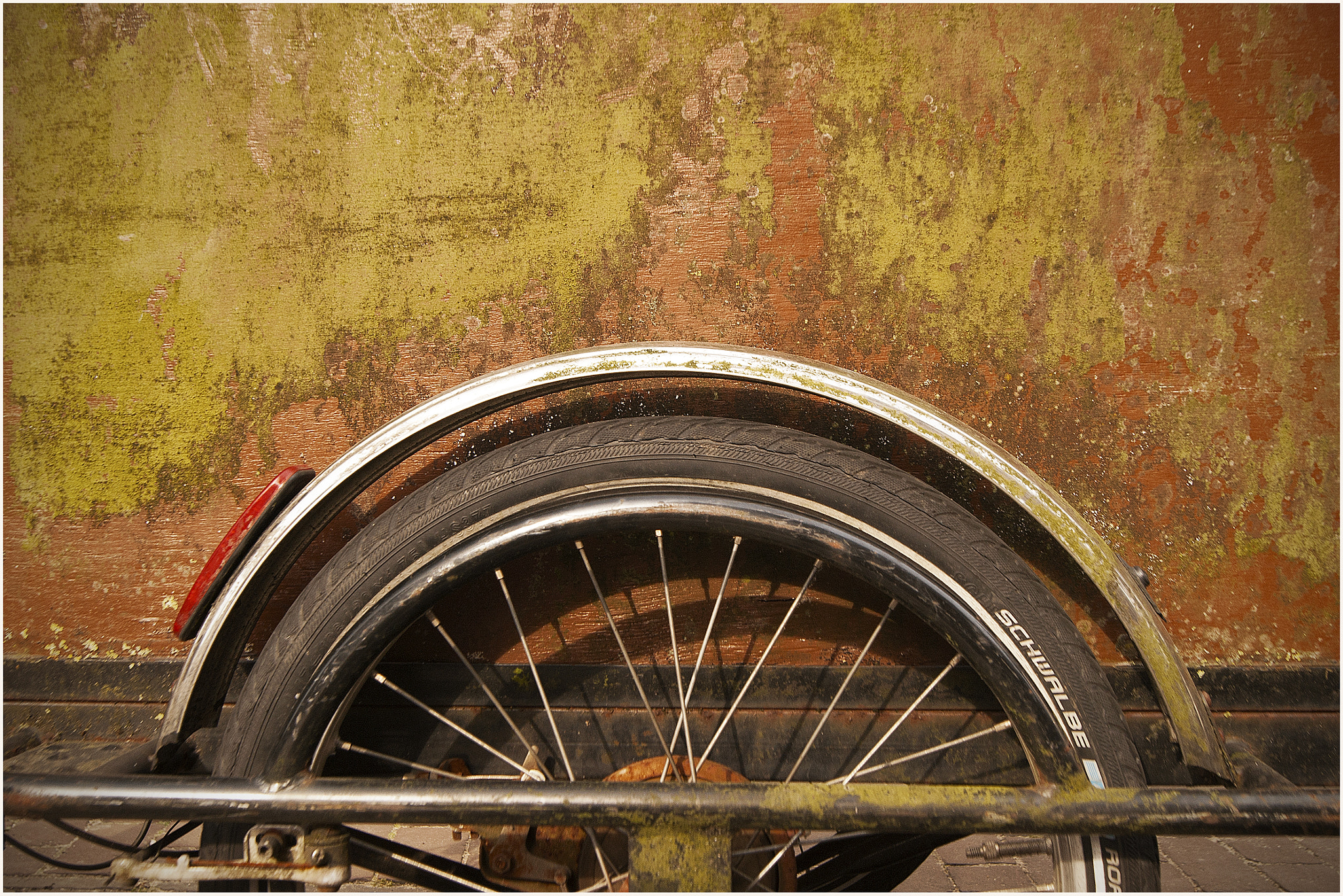 Sony Alpha DSLR-A390 + Sony DT 18-55mm F3.5-5.6 SAM sample photo. Wheel photography