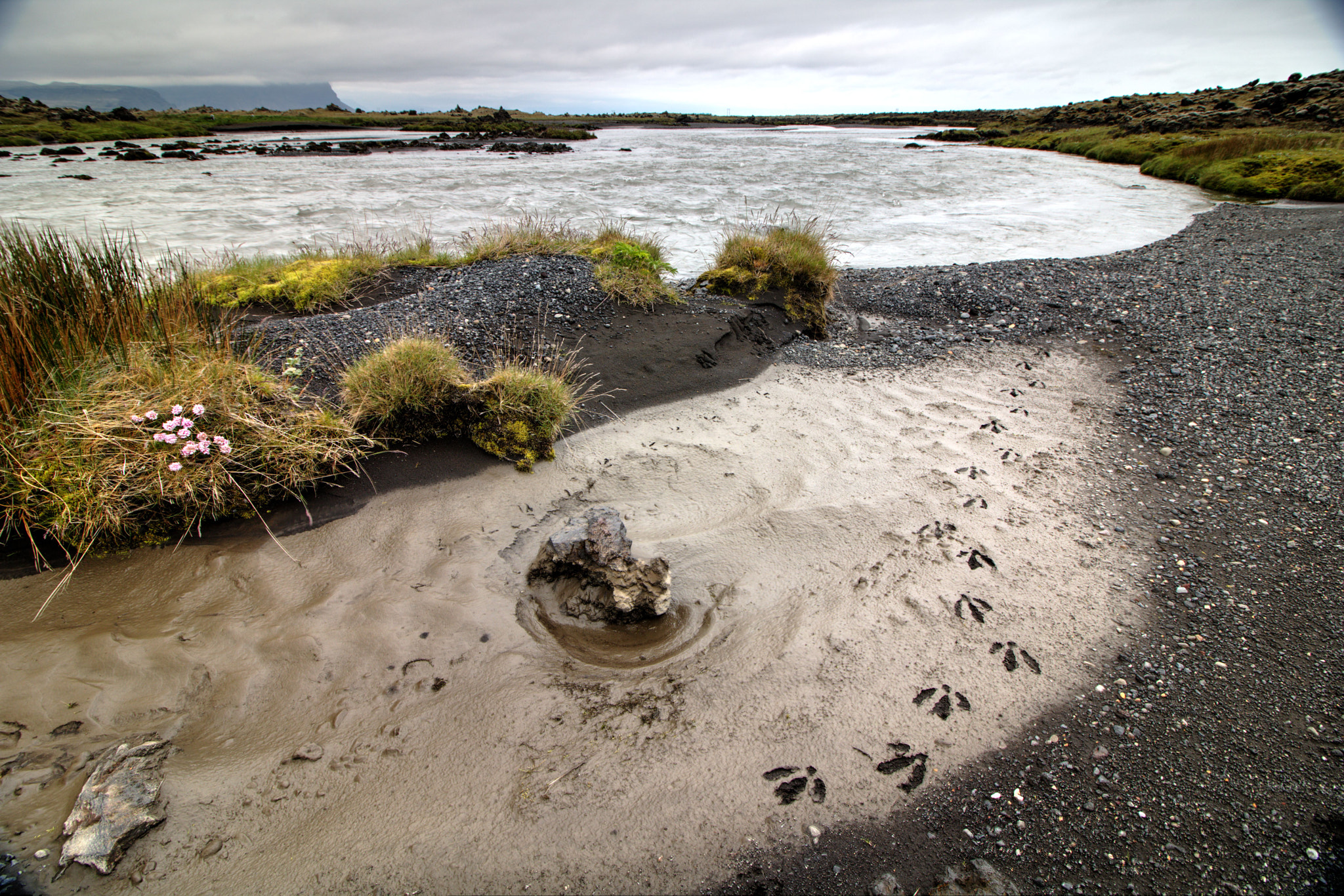 Canon EF-S 10-18mm F4.5–5.6 IS STM sample photo. Water monster photography