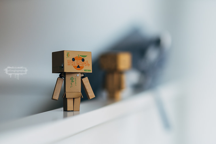 Sony a7R II + Sigma 85mm F1.4 EX DG HSM sample photo. Danbo's new friend photography