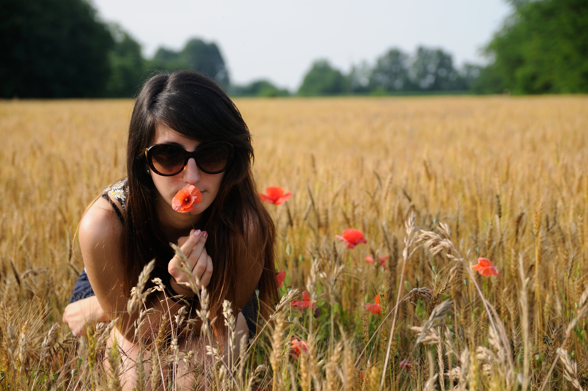 Nikon D300S + Sigma 17-50mm F2.8 EX DC OS HSM sample photo. Poppy in wheat photography