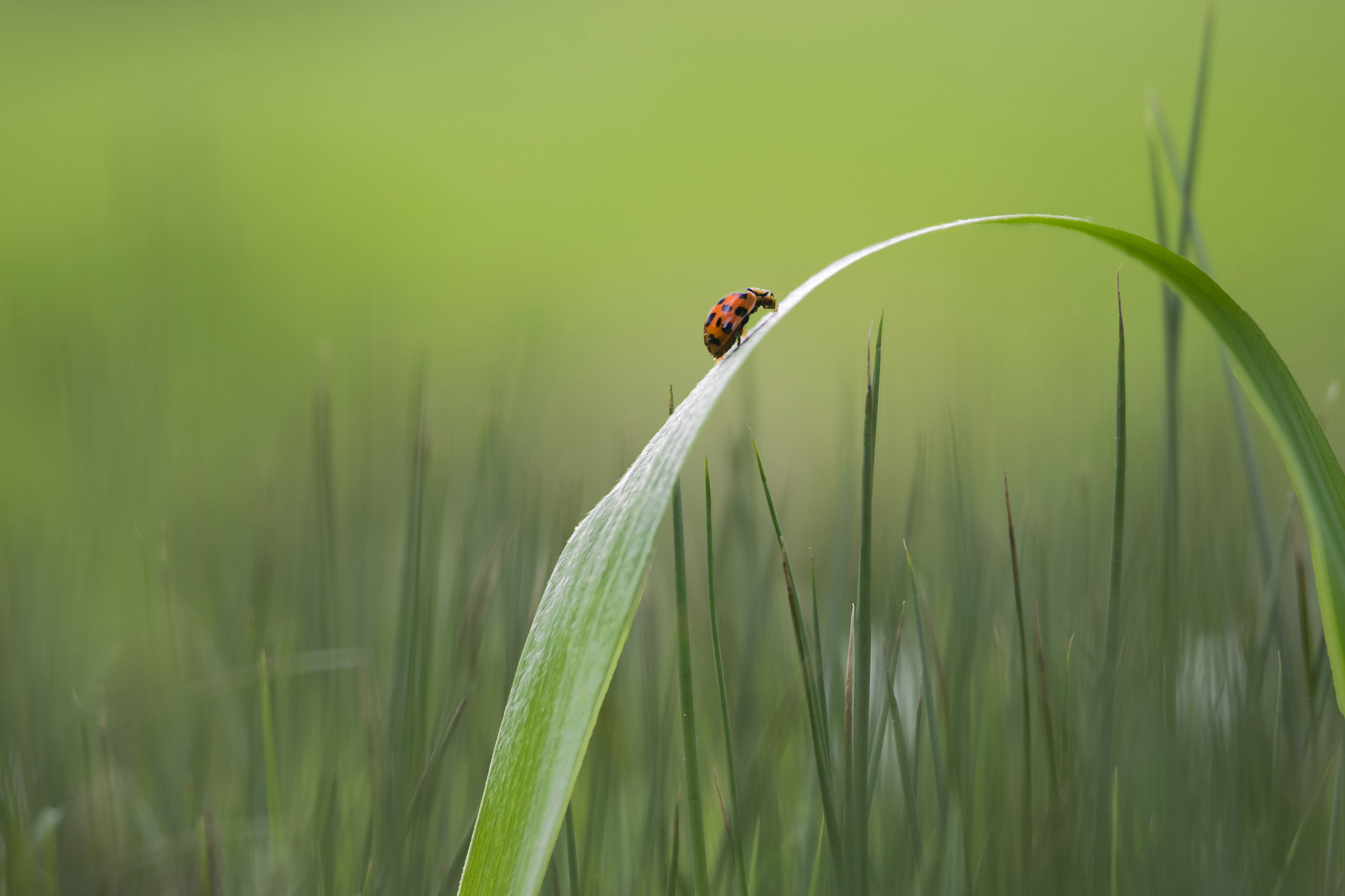 Sigma 120-400mm F4.5-5.6 DG OS HSM sample photo. Still a long way ahead photography