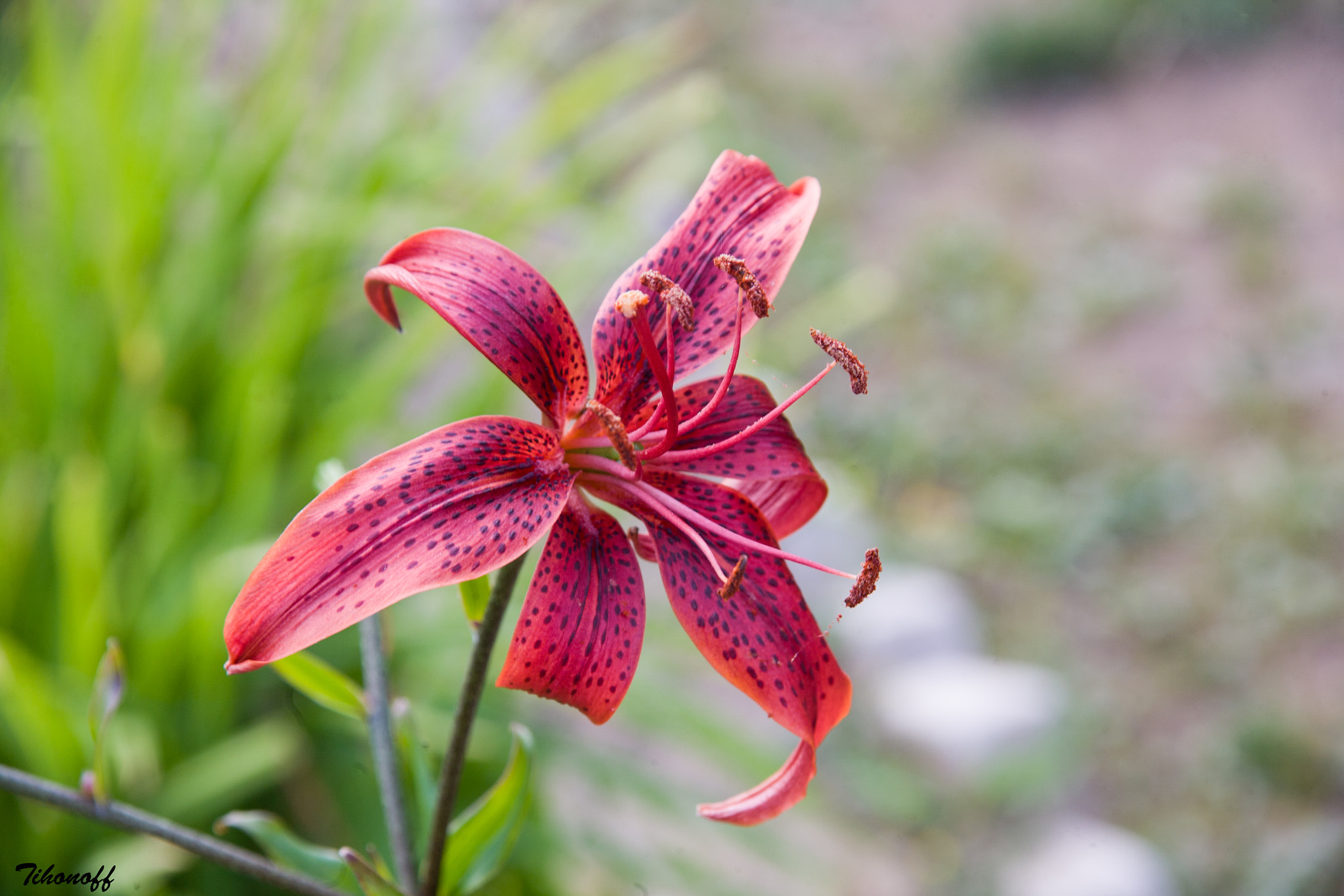 Canon EOS 5D sample photo
