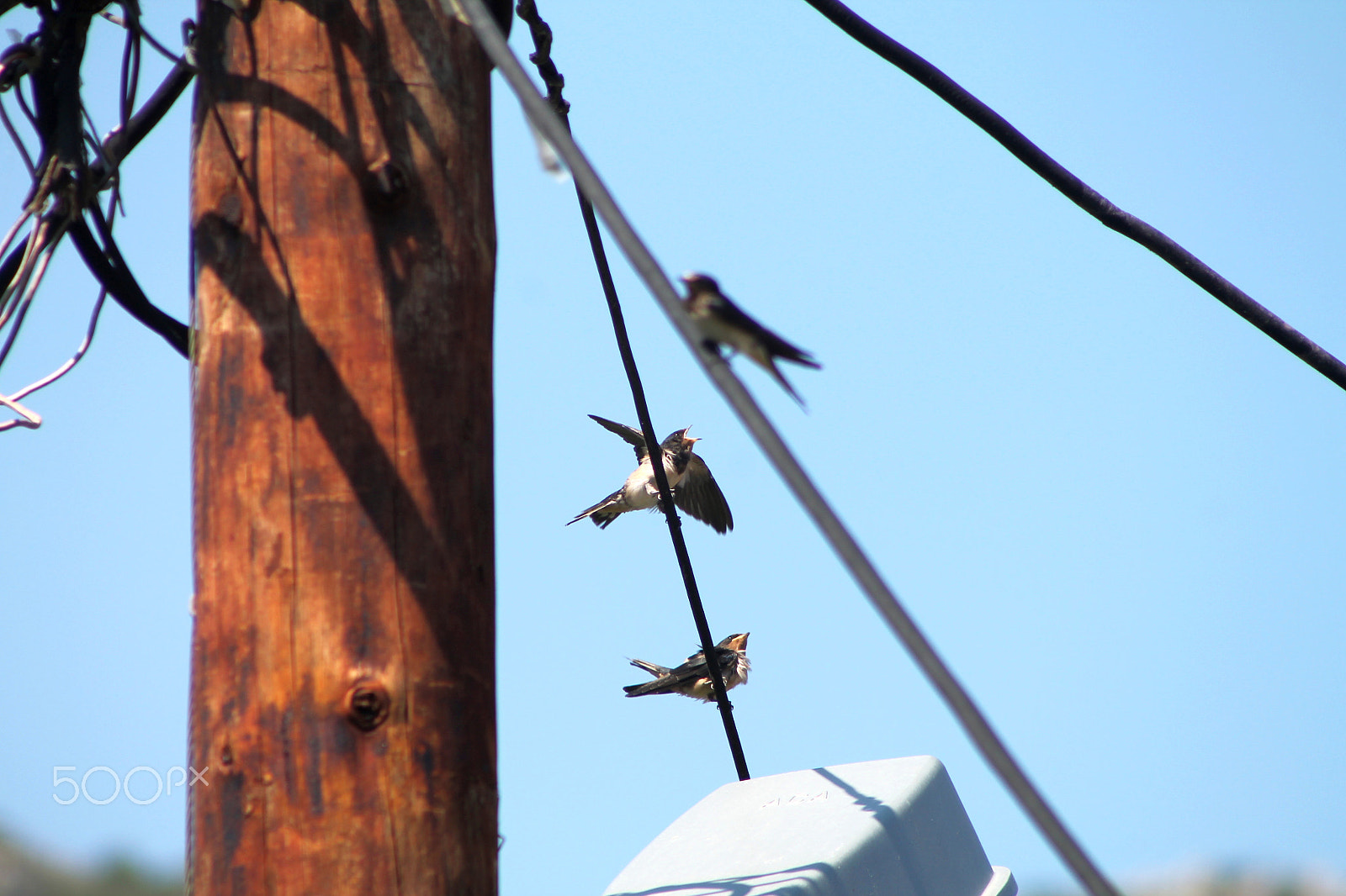 Canon EF 75-300mm f/4-5.6 USM sample photo. 25123981783.jpg photography