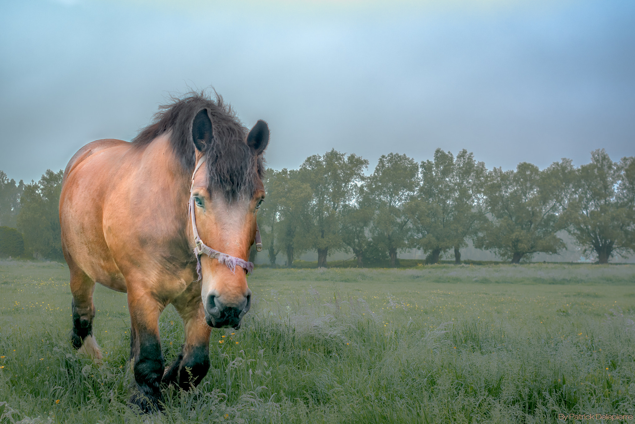 Nikon D7100 + Nikon AF Nikkor 24mm F2.8D sample photo. Modifier photography