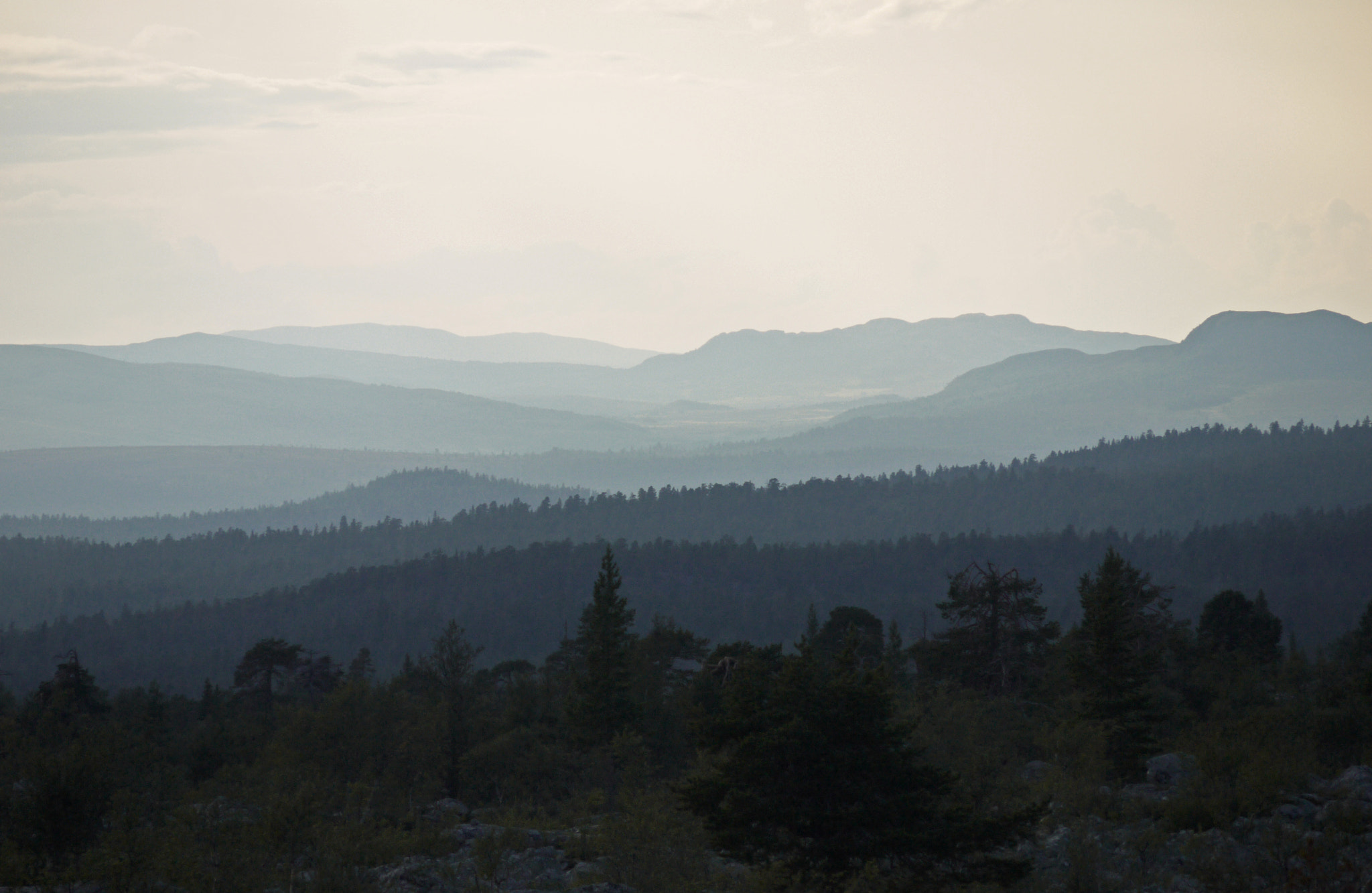 Panasonic Lumix G Vario 45-200mm F4-5.6 OIS sample photo. Summer hike photography