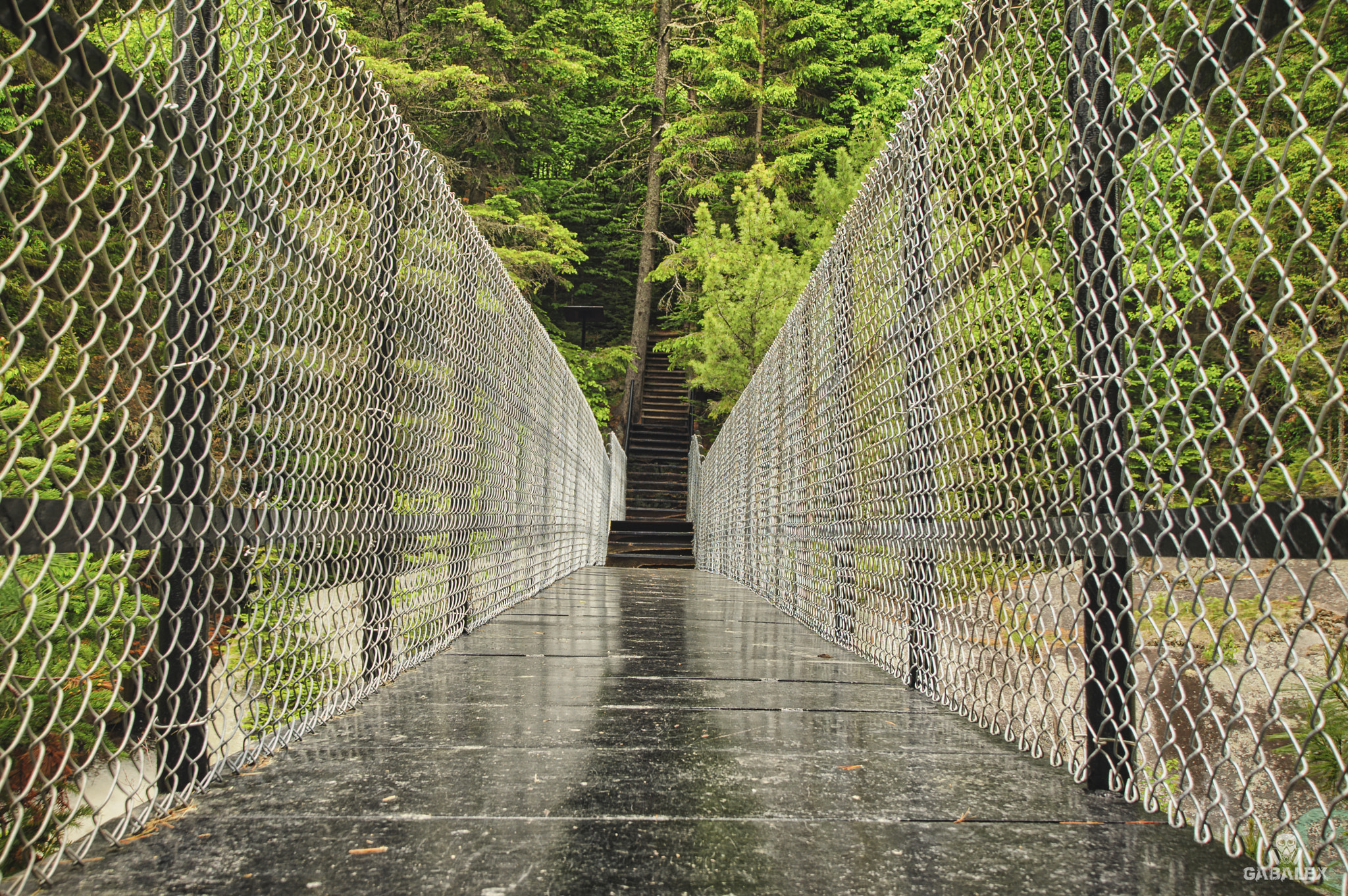 Nikon D700 sample photo. Metal bridge photography