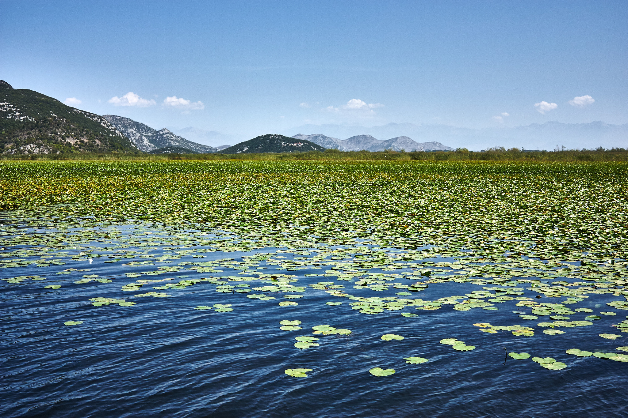 Canon EOS 450D (EOS Rebel XSi / EOS Kiss X2) sample photo. Lake skadar 1.jpg photography