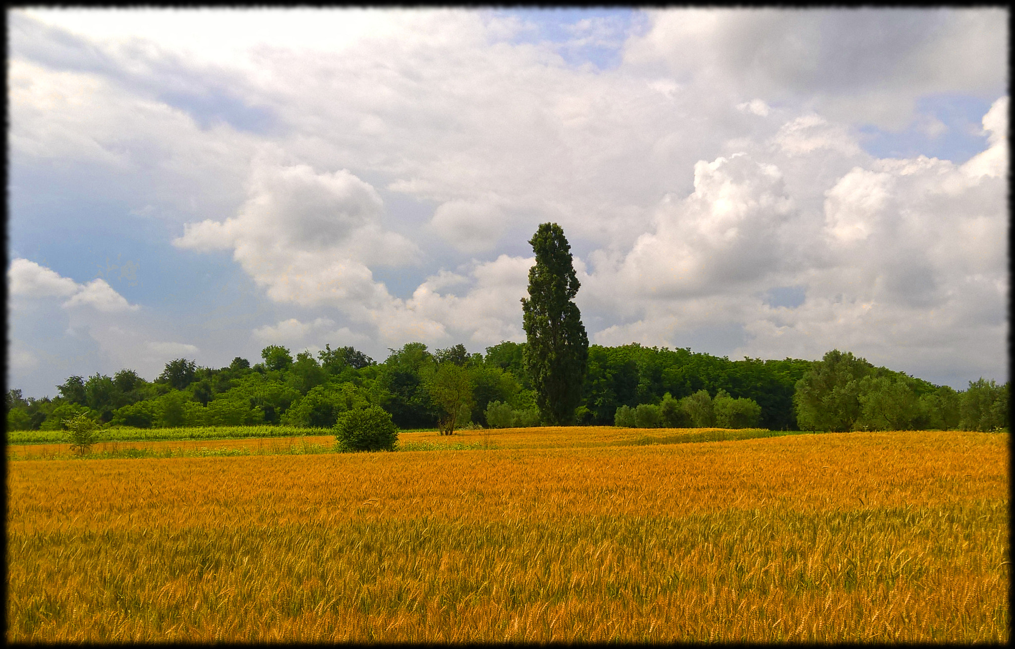 Microsoft Lumia 640 XL sample photo. Italian countryside photography