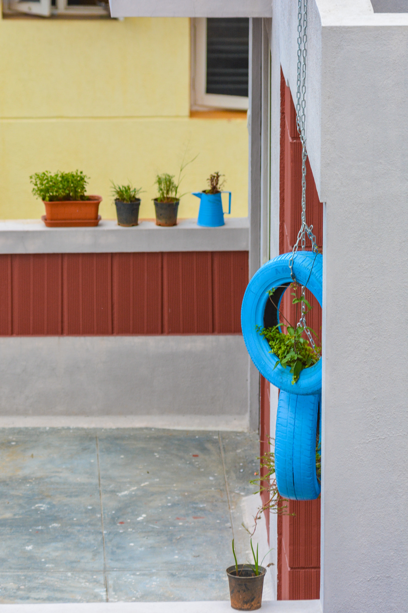 Nikon AF-Nikkor 80-200mm F2.8D ED sample photo. Blue pop photography