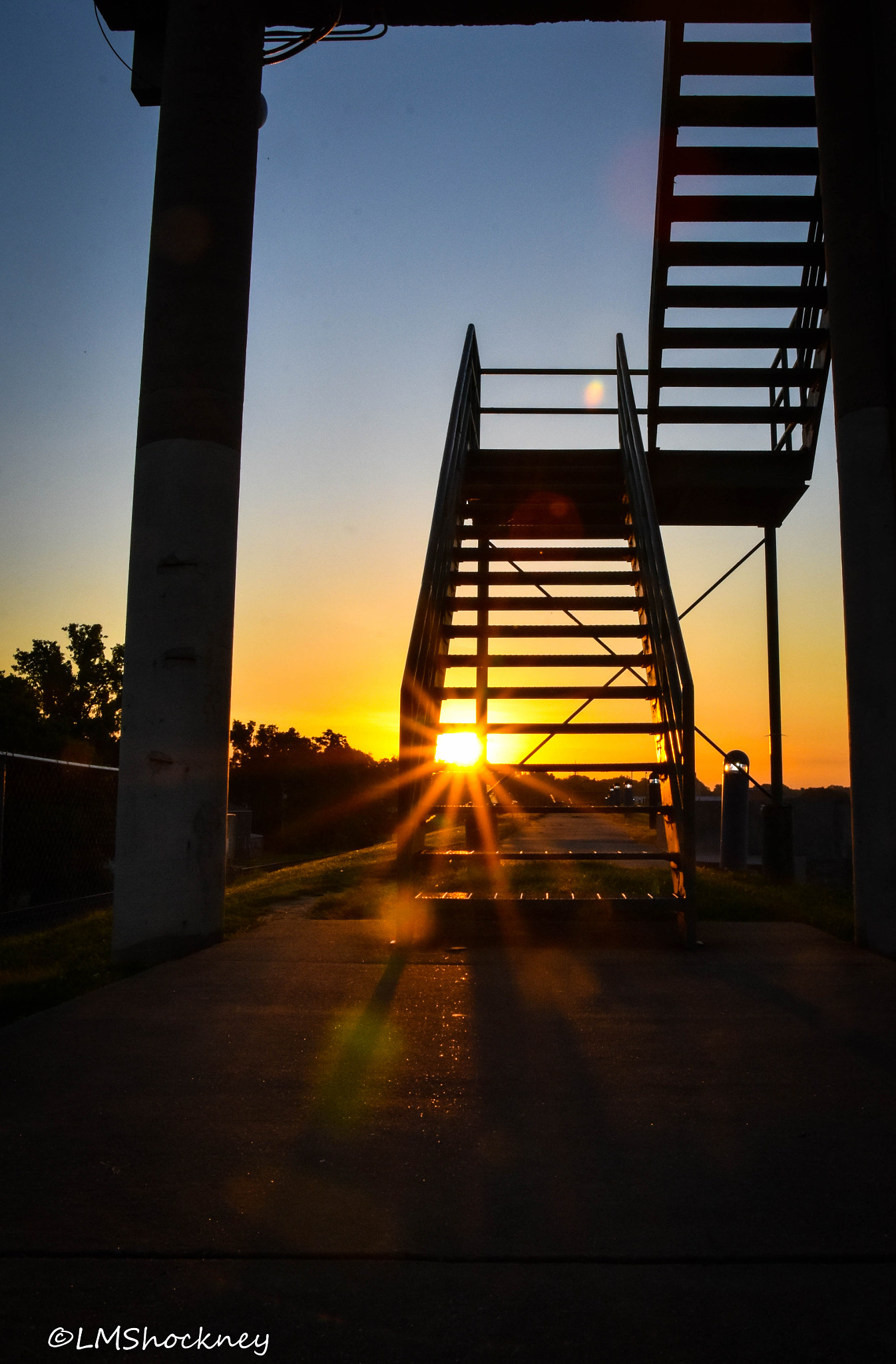 Nikon D7200 + Sigma 18-250mm F3.5-6.3 DC OS HSM sample photo. Saturday morning walk photography