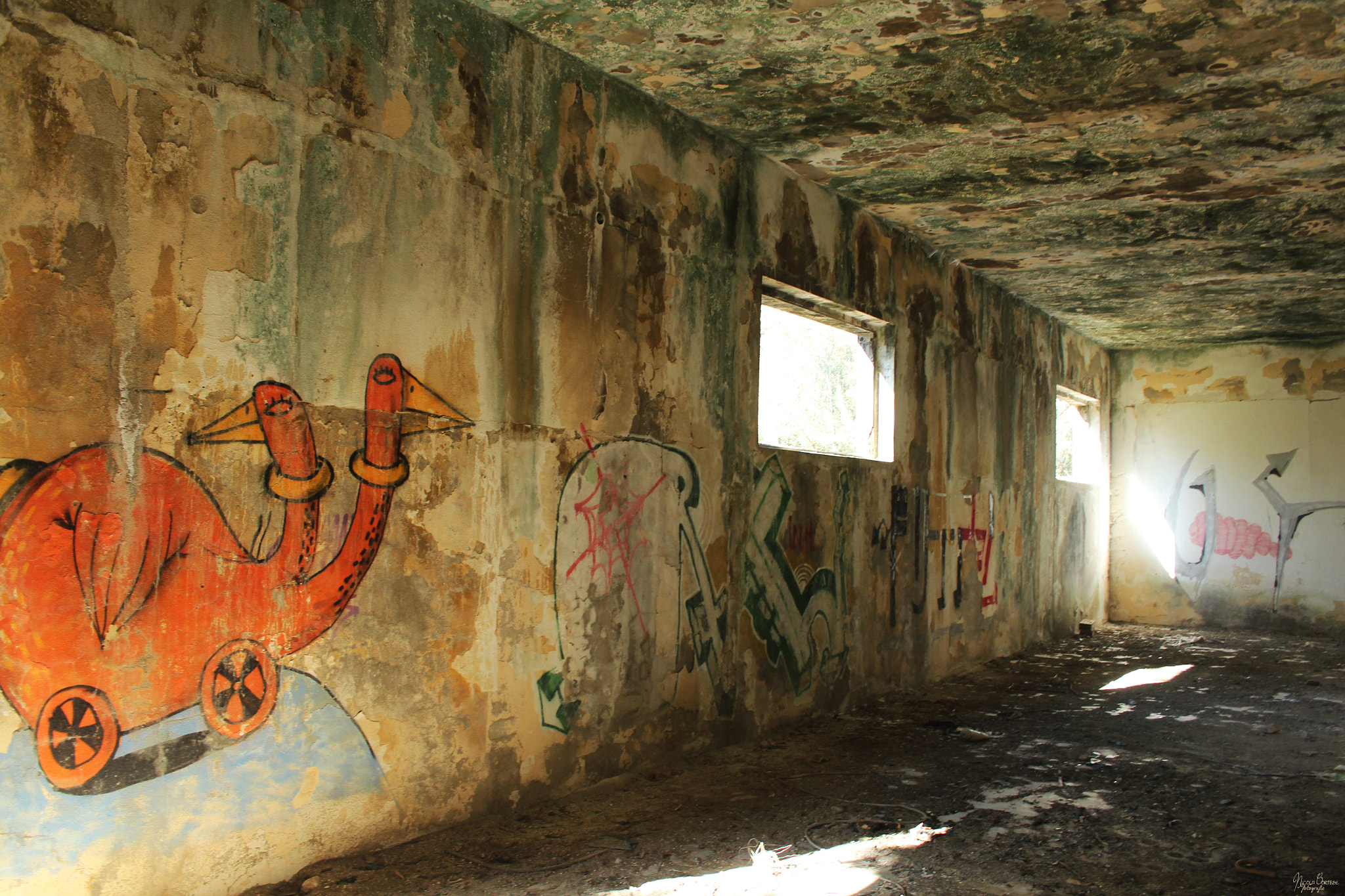 Canon EF-S 18-55mm F3.5-5.6 sample photo. Green decay of siamese twins photography