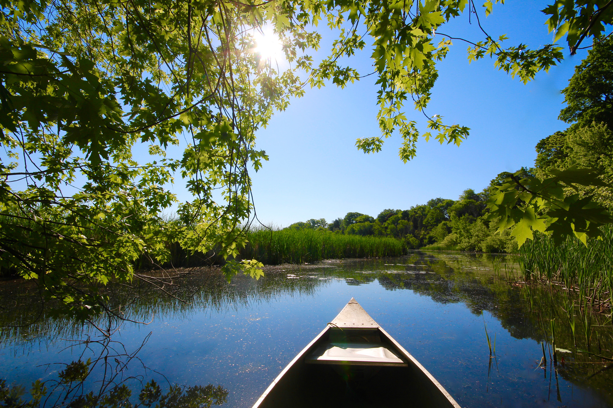 Sigma 10-20mm F4-5.6 EX DC HSM sample photo. Quiet canoe photography