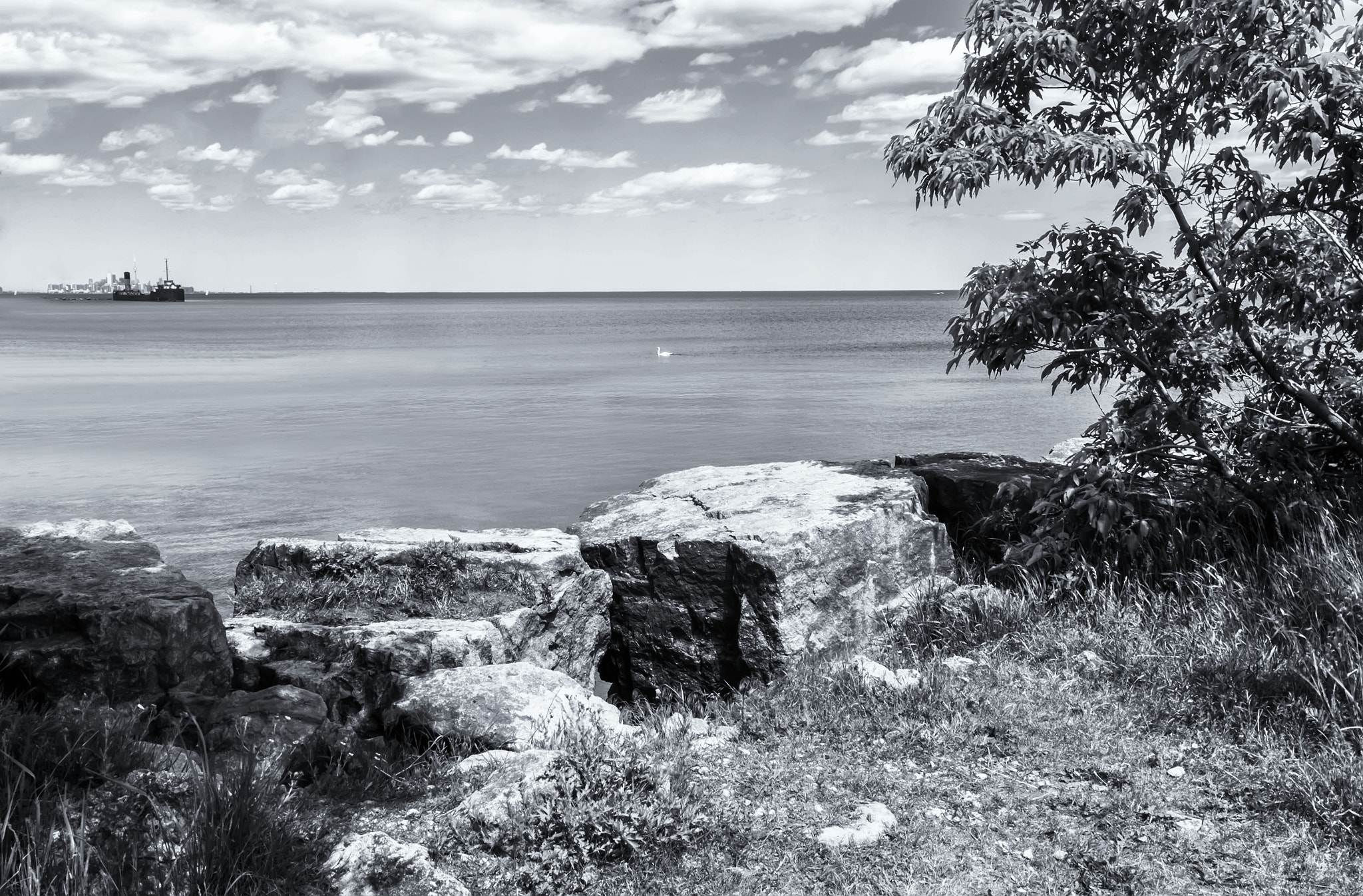 Fujifilm XC 16-50mm F3.5-5.6 OIS sample photo. J.c.saddington park photography