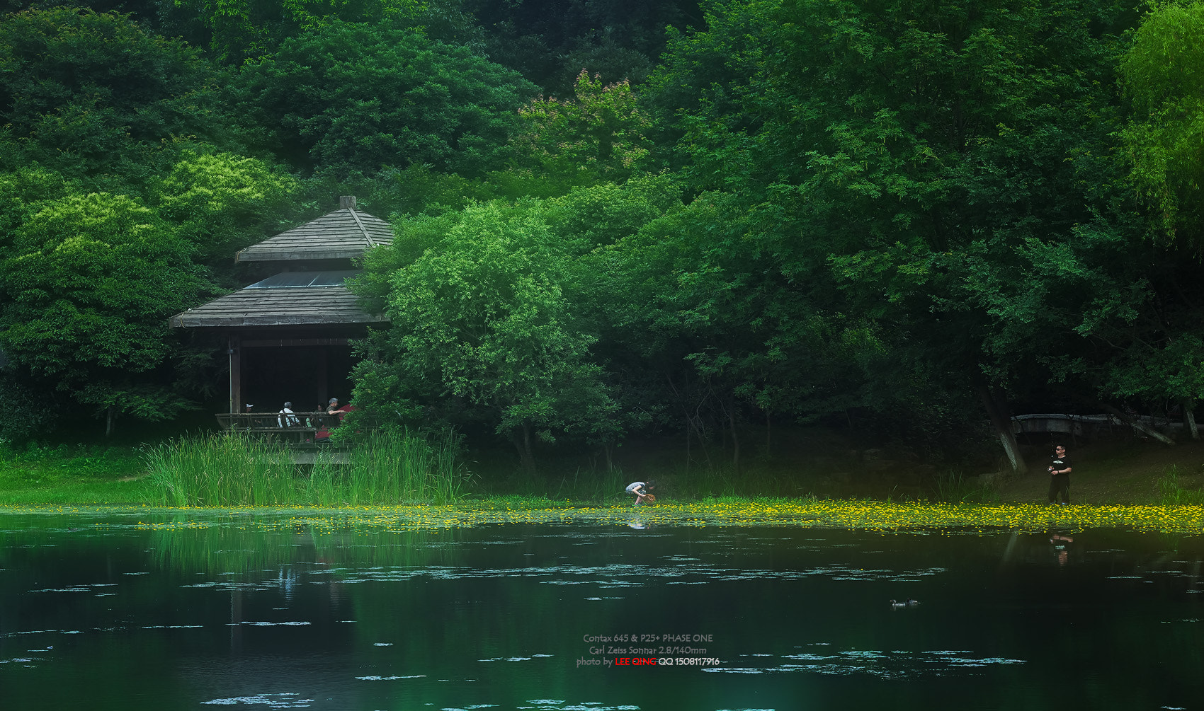 Phase One P25+ sample photo. 仲夏 photography