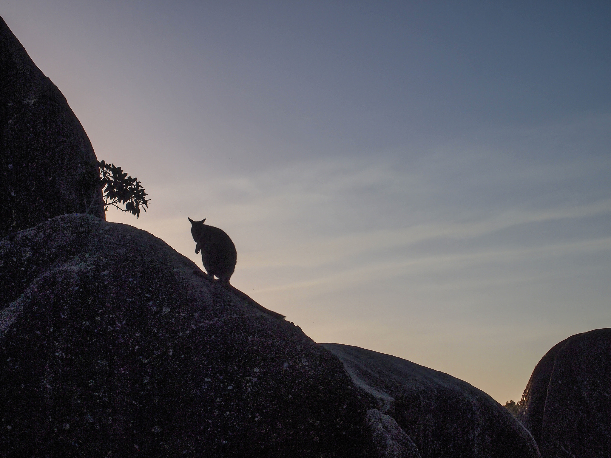 Olympus PEN E-PL2 sample photo. Silhouette photography