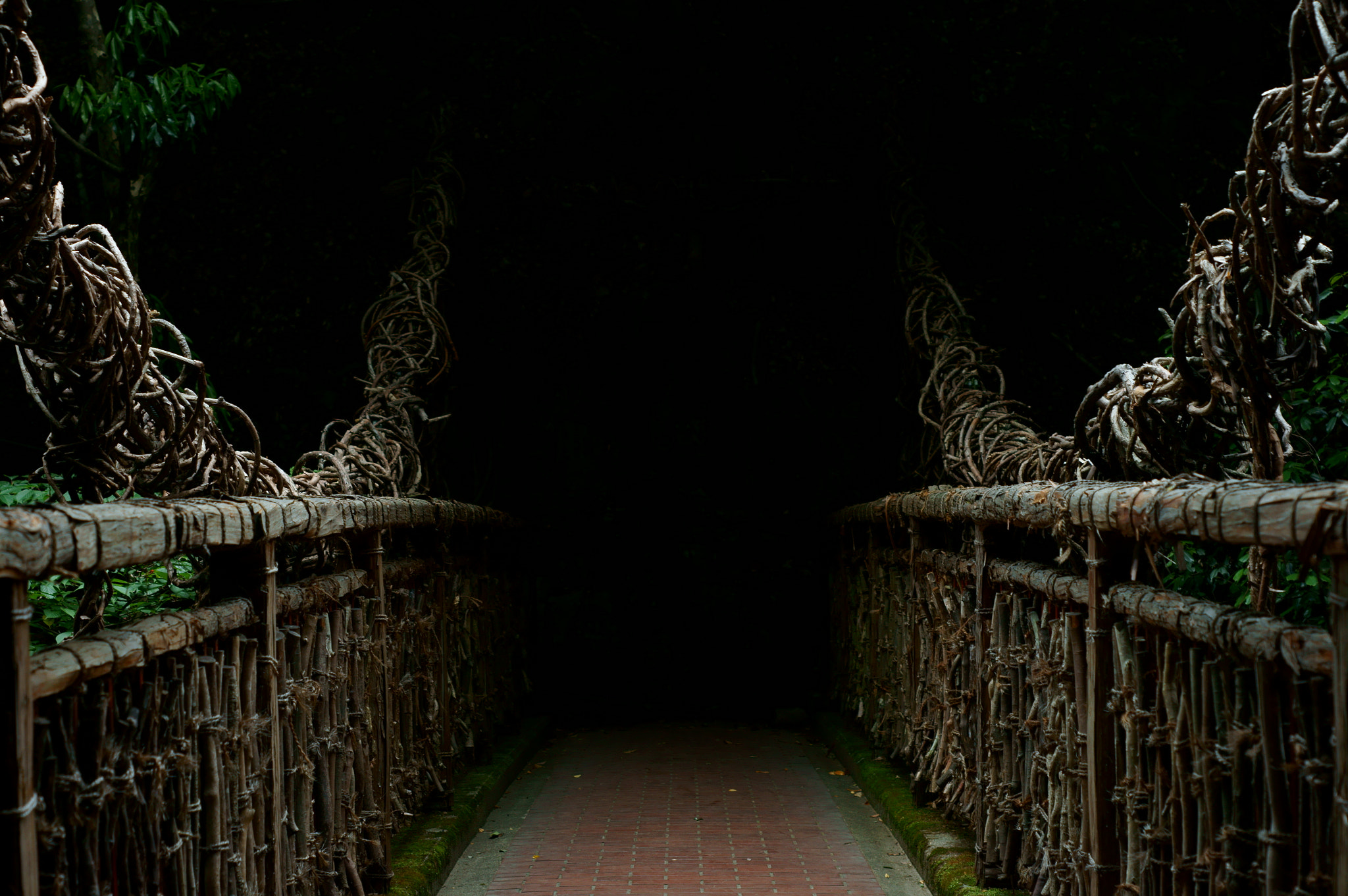 Sony SLT-A55 (SLT-A55V) sample photo. The bridge to somewhere ~猿のかずら橋~ photography