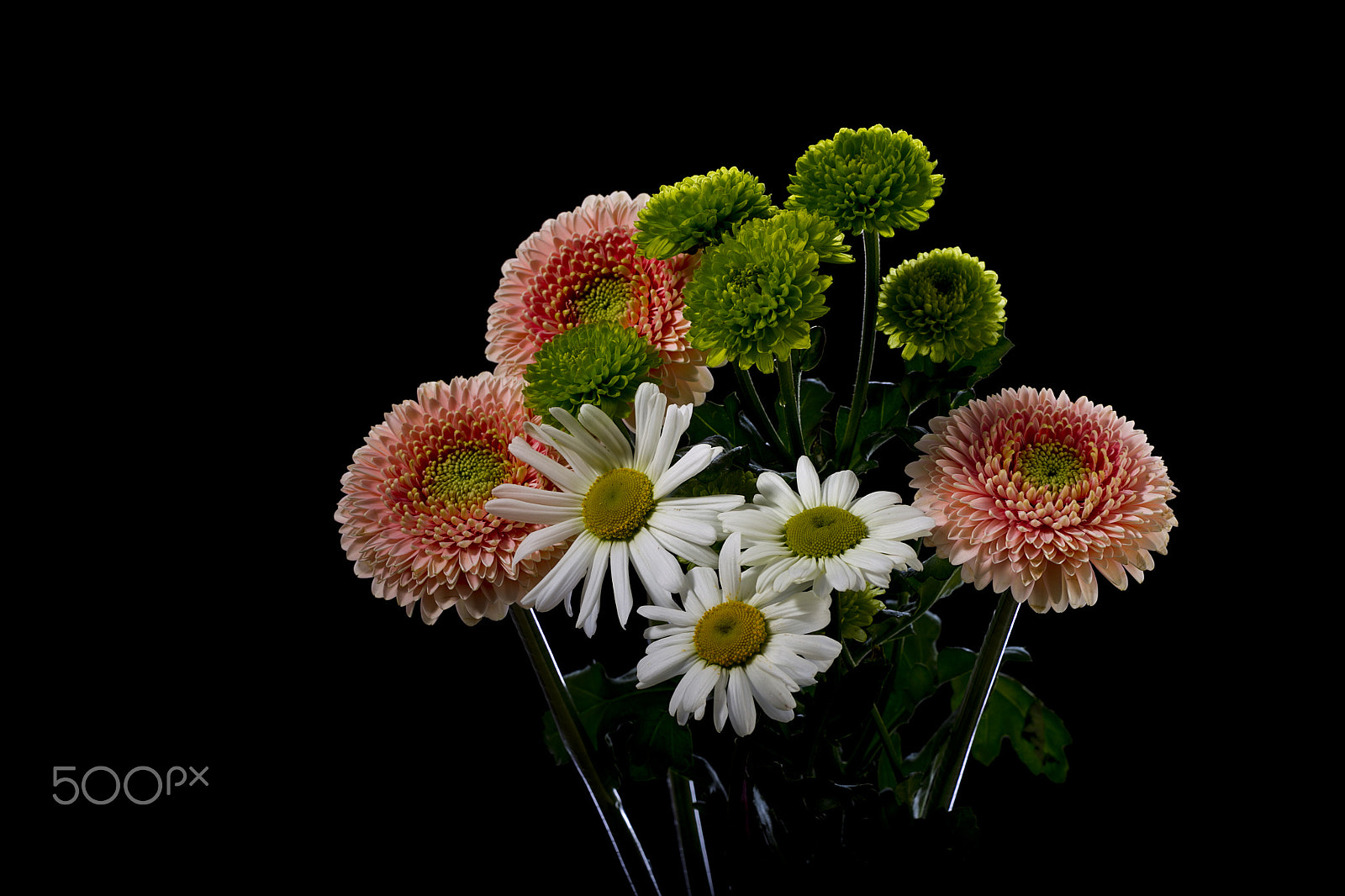 Canon EOS-1D Mark IV sample photo. Bouquet of gerbera and chamomile photography