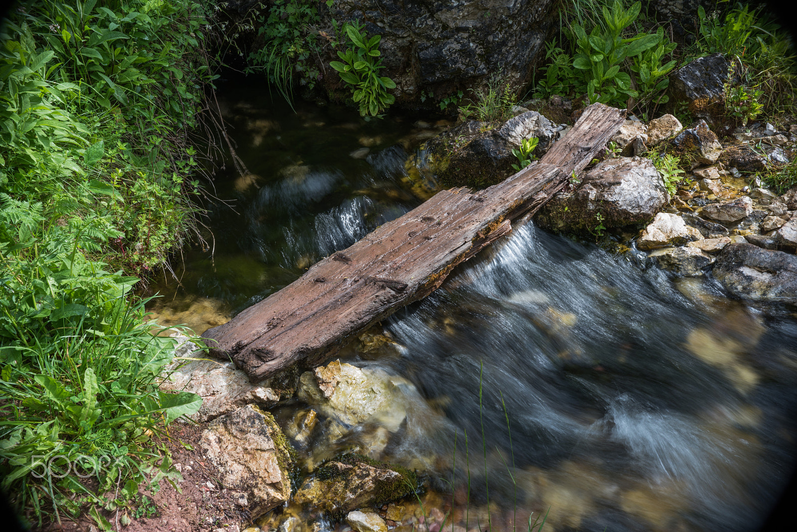 Nikon D750 + Sigma 18-35mm F1.8 DC HSM Art sample photo. Crossing plank.jpg photography