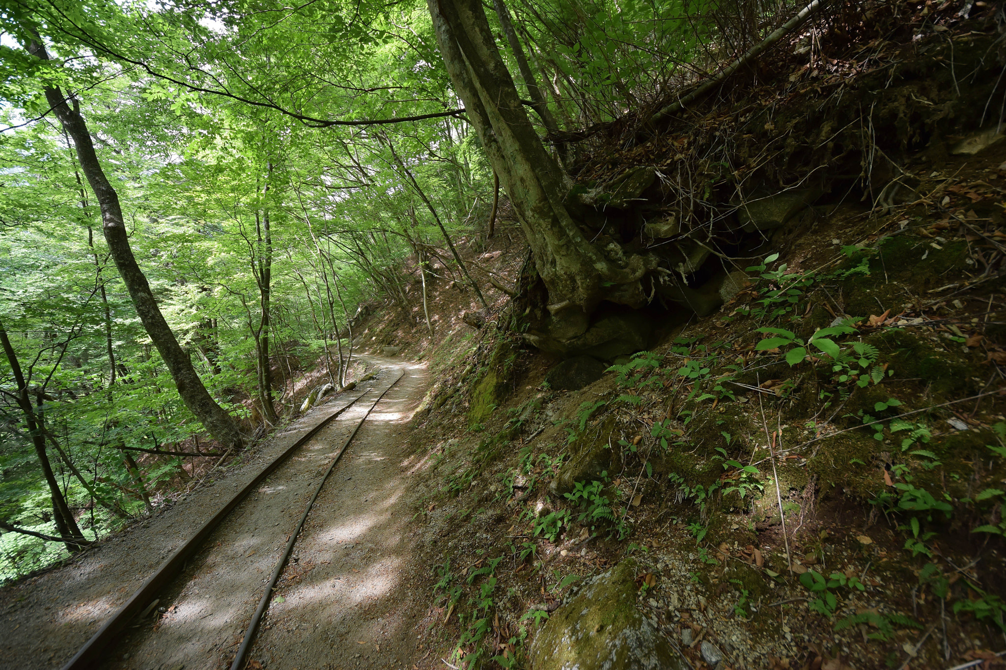 Sigma 8-16mm F4.5-5.6 DC HSM sample photo. Nisizawa valley20160528 photography