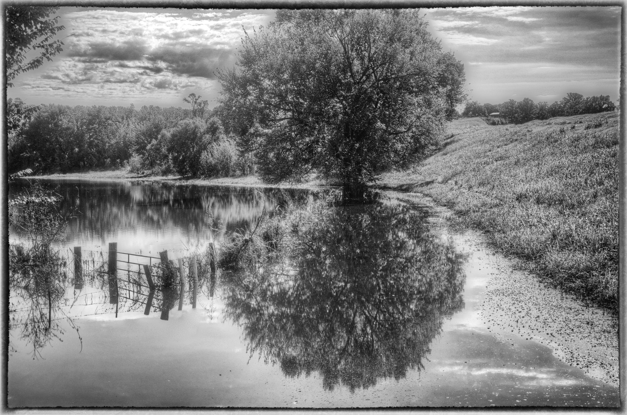 Sony SLT-A77 + Sigma 17-70mm F2.8-4.5 (D) sample photo. Texas landscape no 24 photography