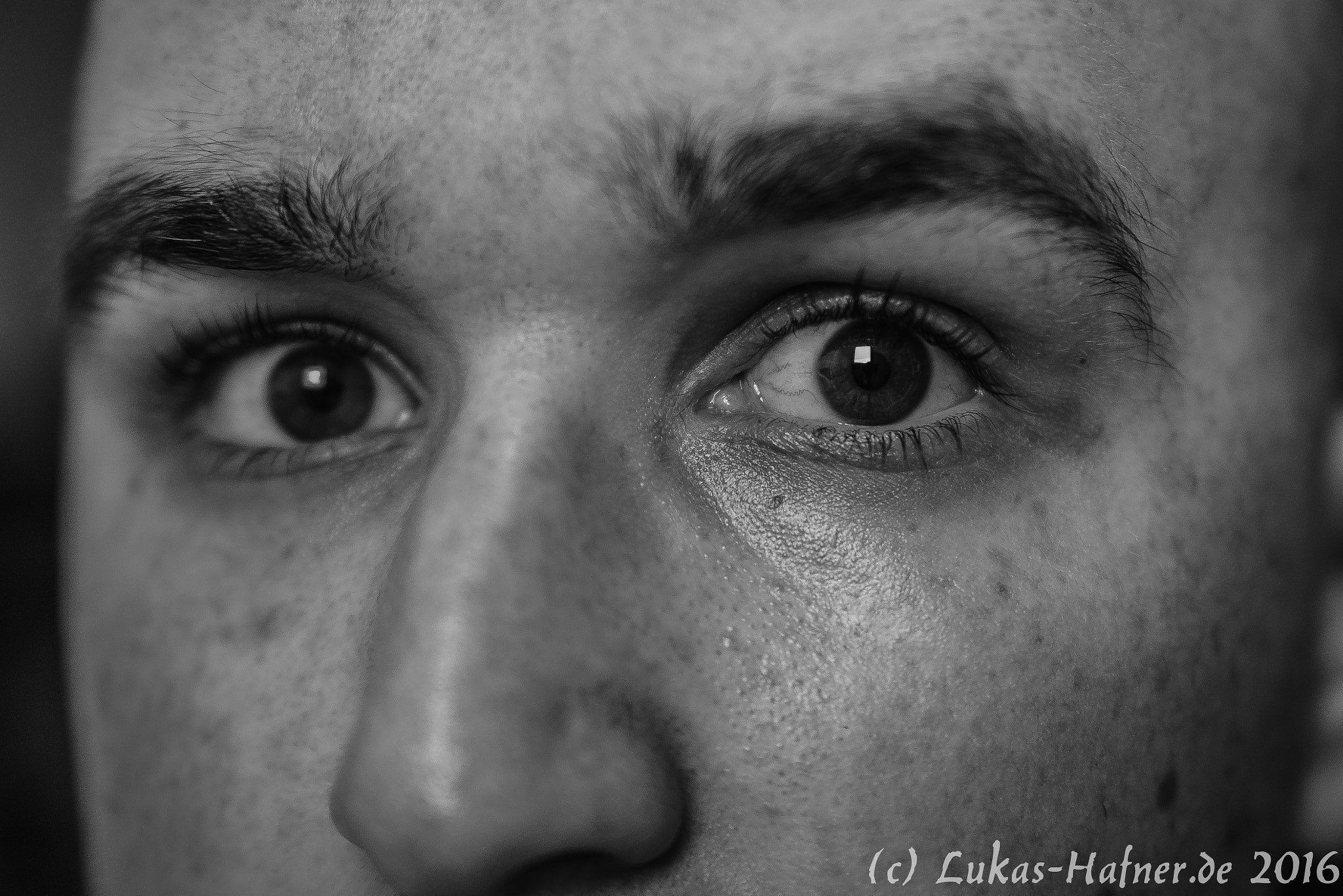 Nikon D600 sample photo. Look me in the eye b+w photography