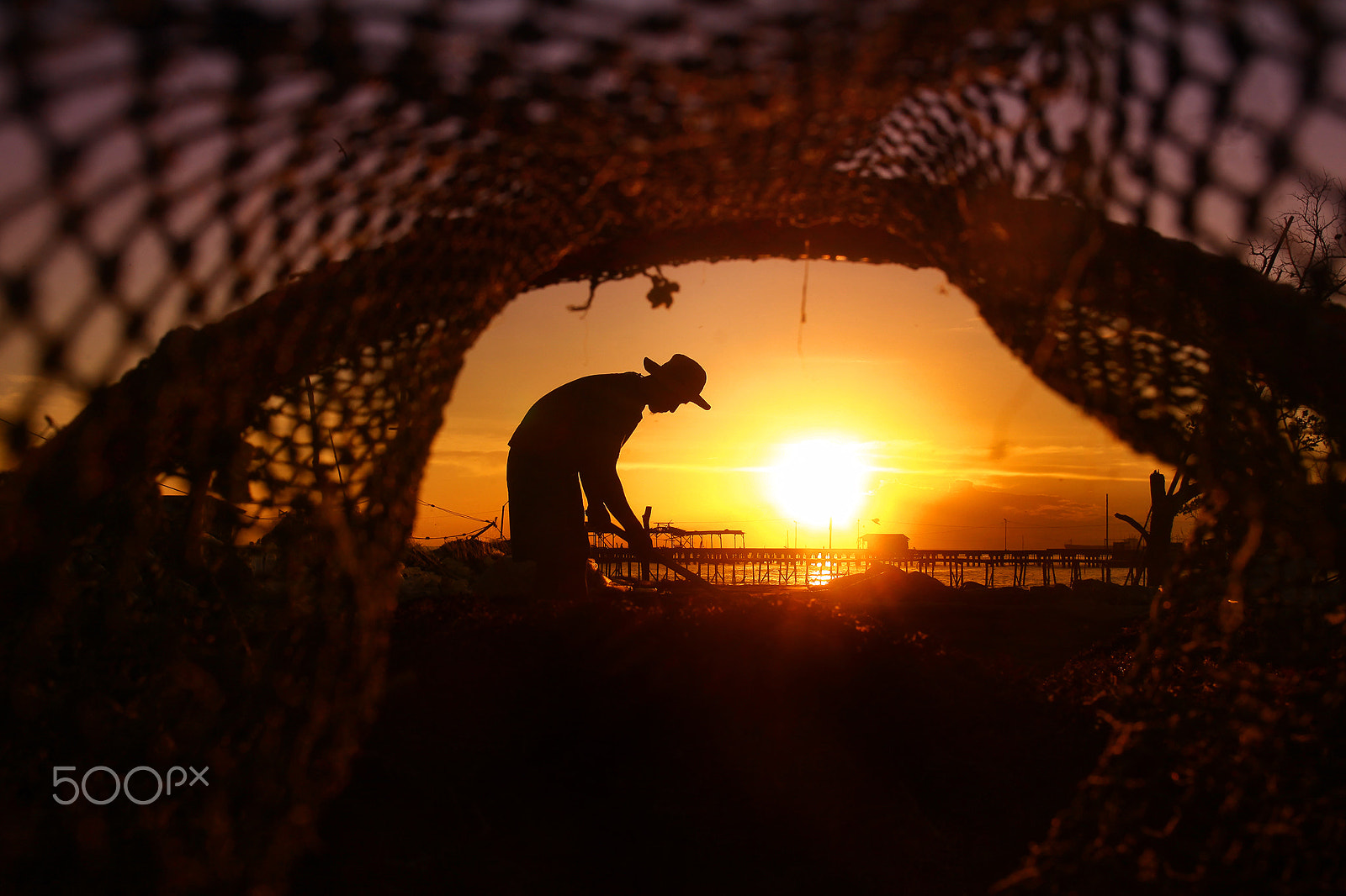 Canon EOS 50D + Canon EF 24mm F1.4L II USM sample photo. Seaweed farmer photography