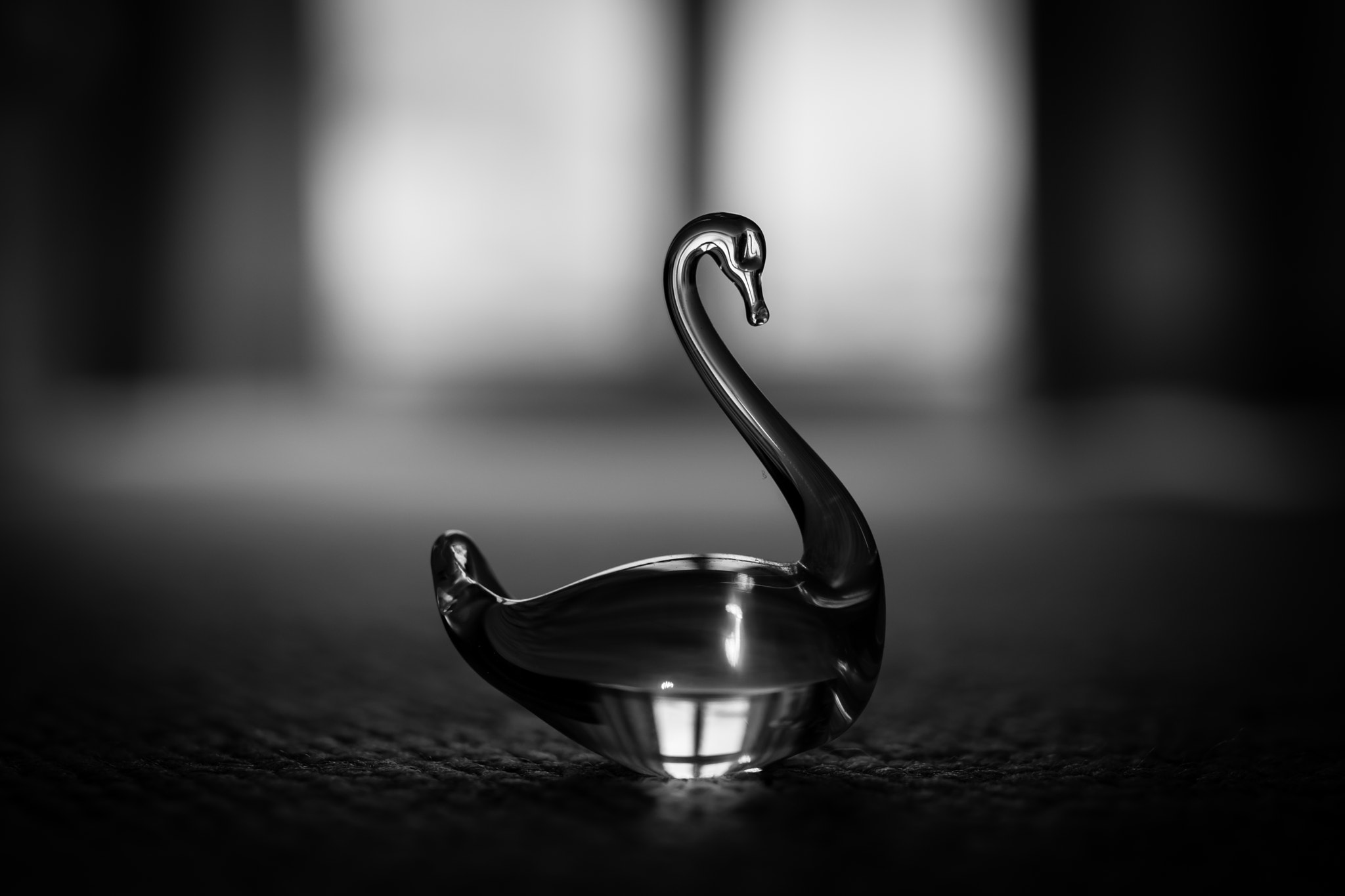 Nikon D3300 + Sigma 35mm F1.4 DG HSM Art sample photo. Black and white glass swan photography