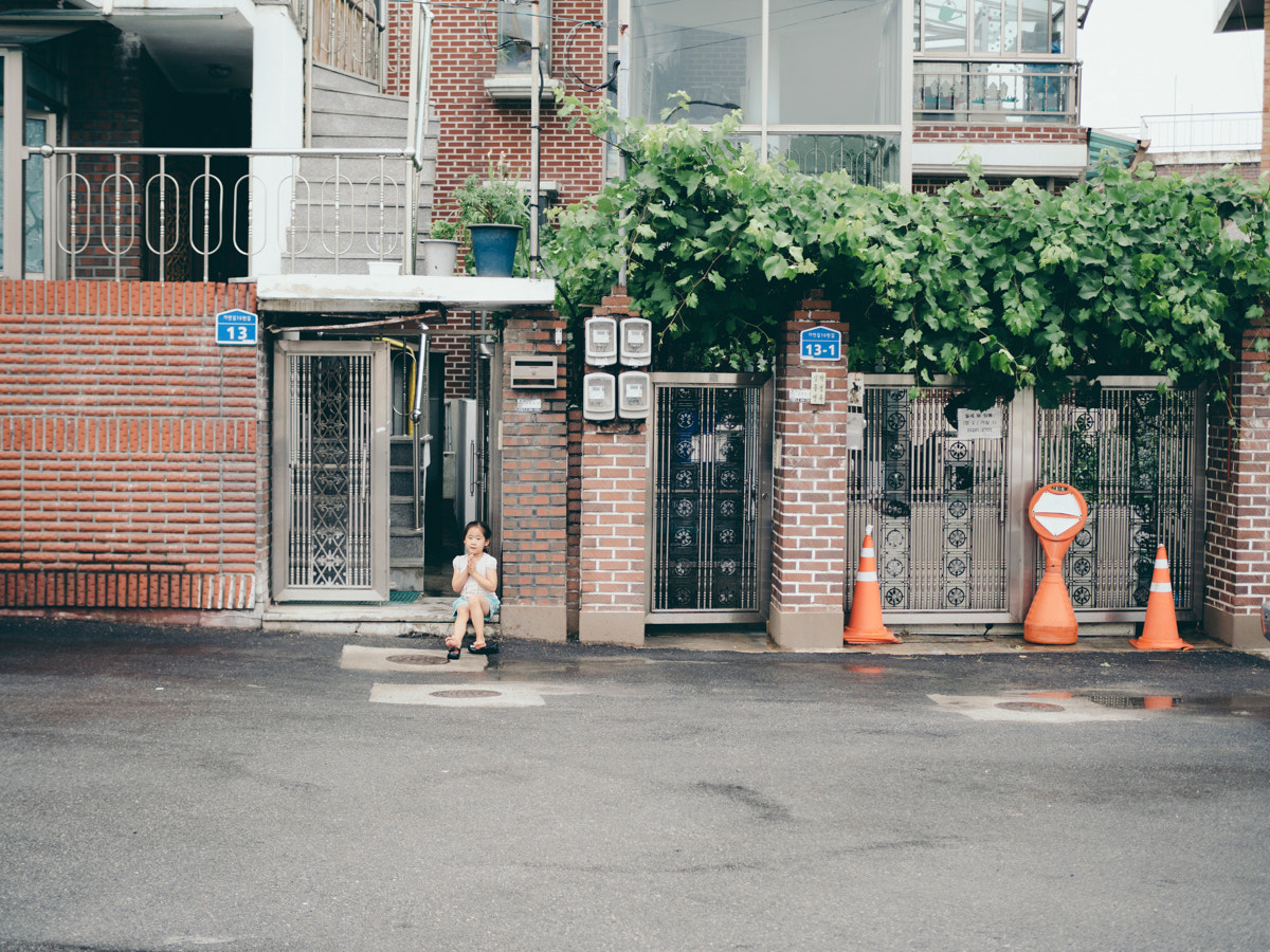 Olympus OM-D E-M5 II + Olympus M.Zuiko Digital 25mm F1.8 sample photo. - photography