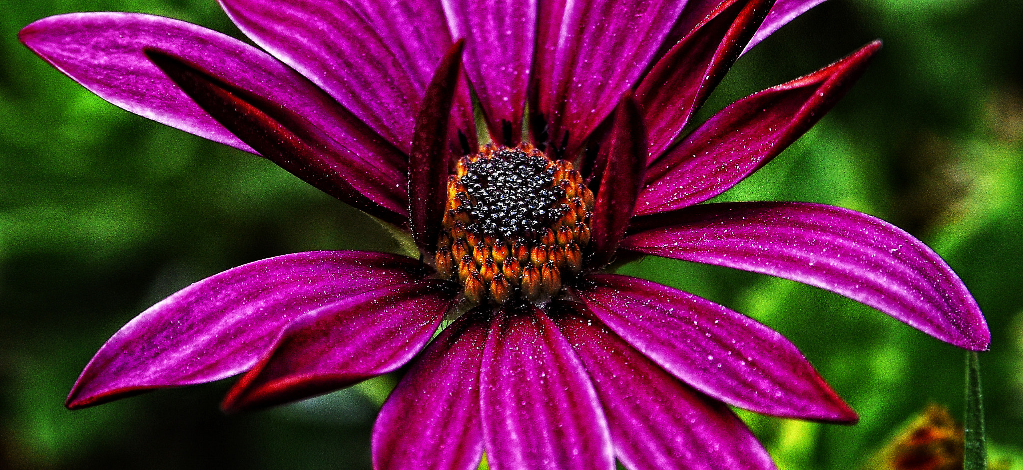 Nikon AF-S Nikkor 28-70mm F2.8 ED-IF sample photo. Flover photography