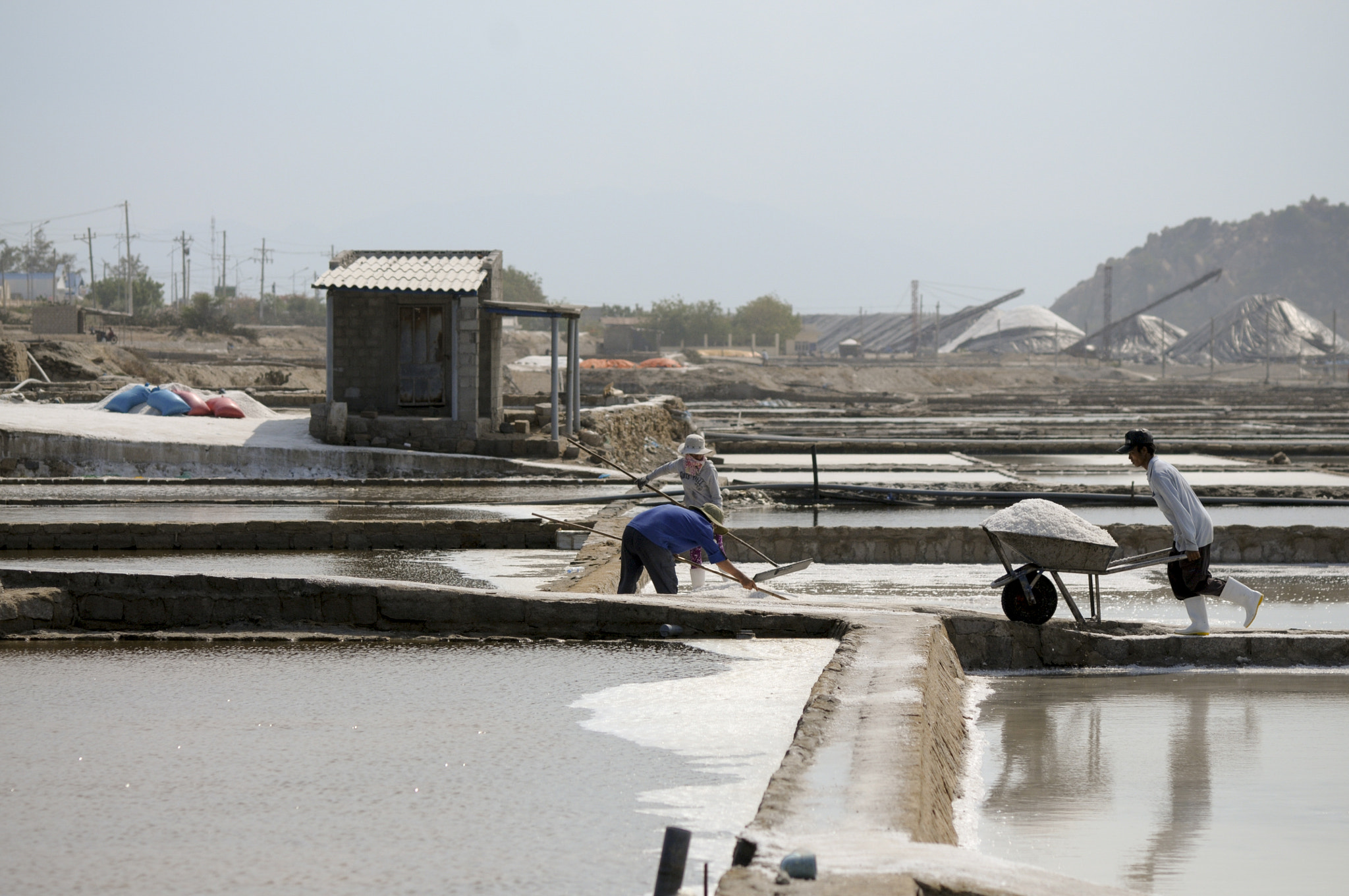 Nikon D300S + Nikon AF Nikkor 105mm F2D DC sample photo. Harvest in the salt field #2 photography