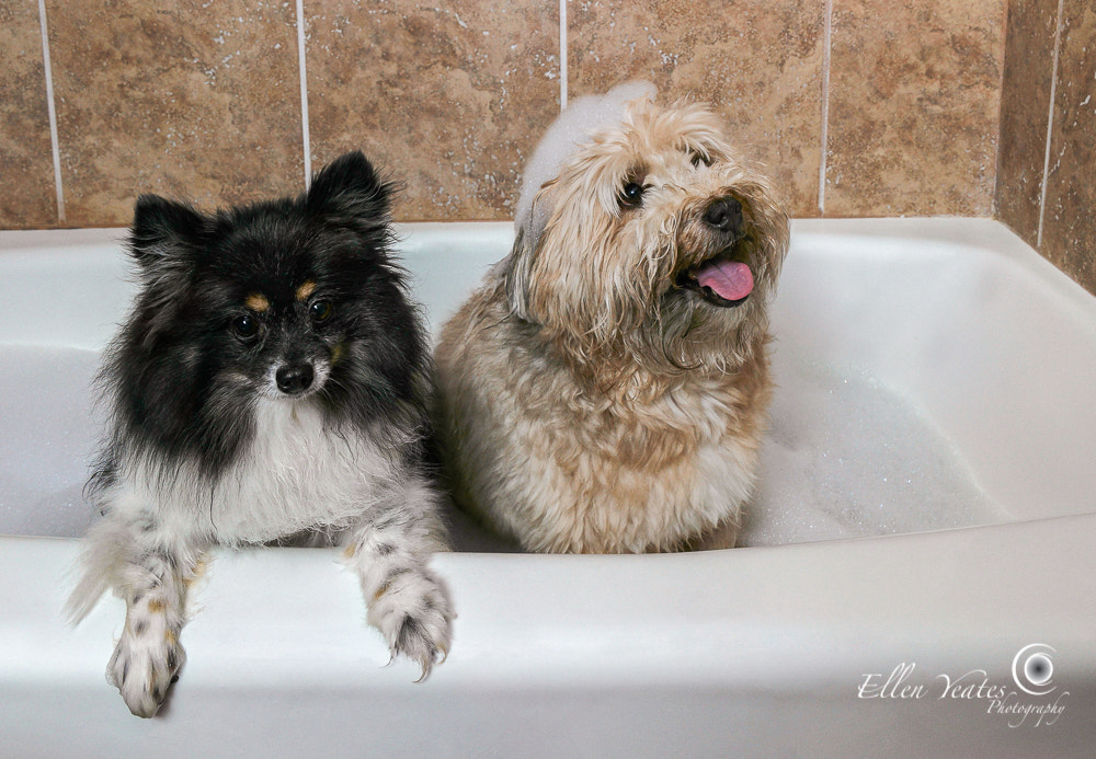 Saumsun NX 16-50mm F2-2.8 S ED OIS sample photo. Bath time photography