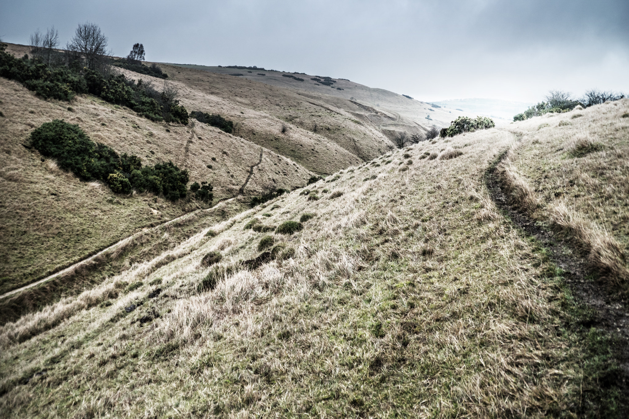 Sony DT 18-200mm F3.5-6.3 sample photo. Wild hills photography