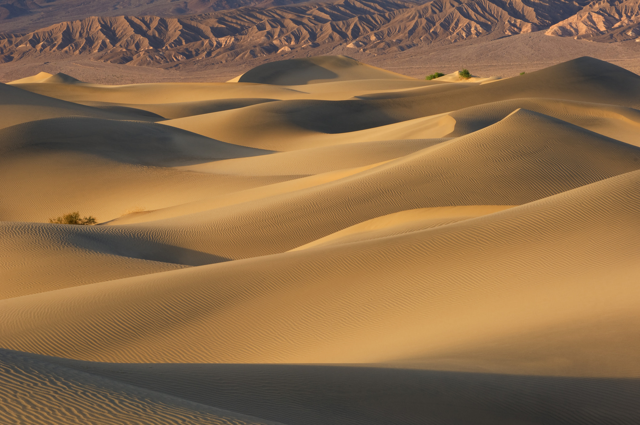 Nikon D2X sample photo. Mesquite flat sand dunes photography