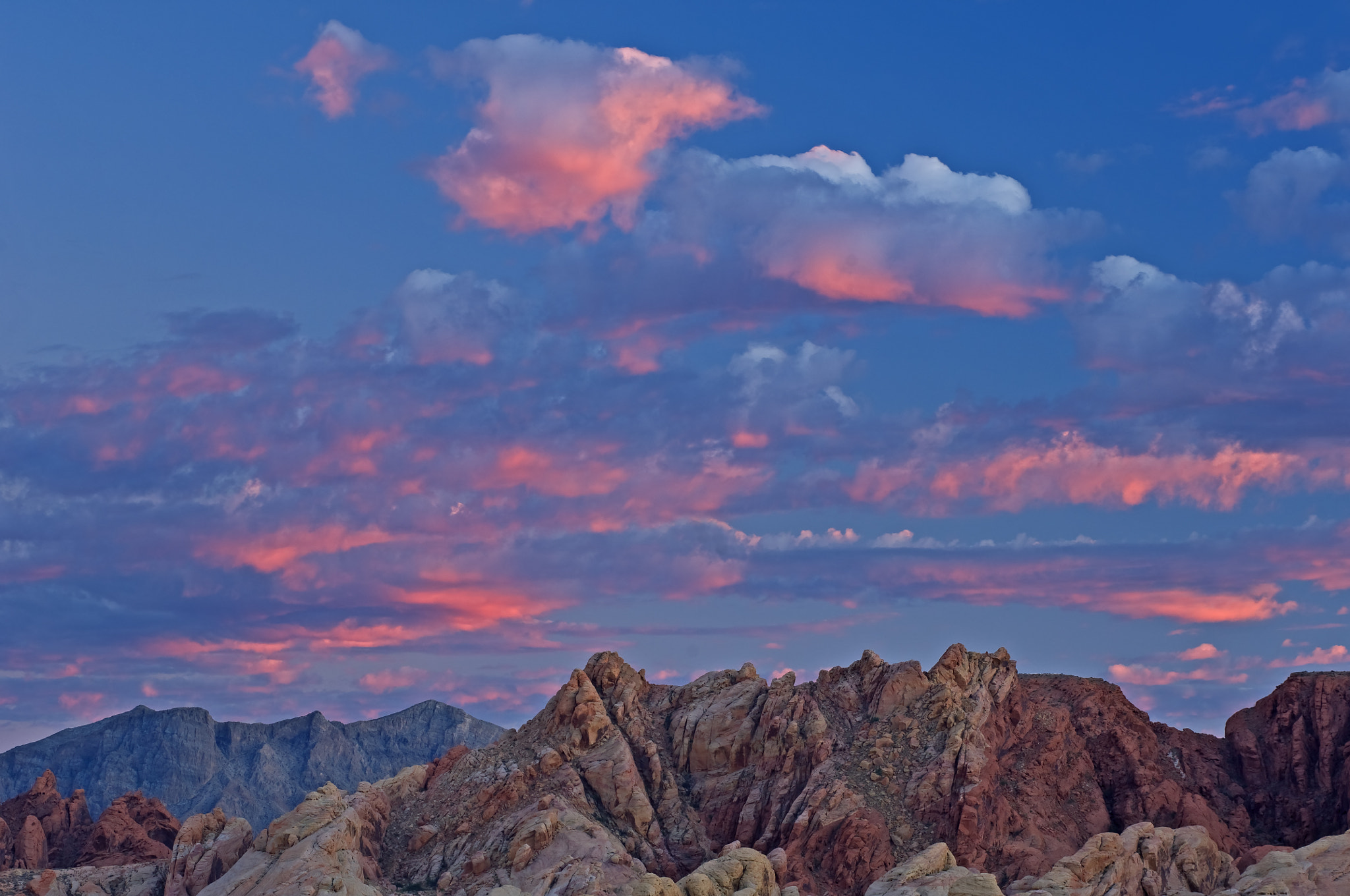 Nikon D2X sample photo. Twilight valley of fire photography