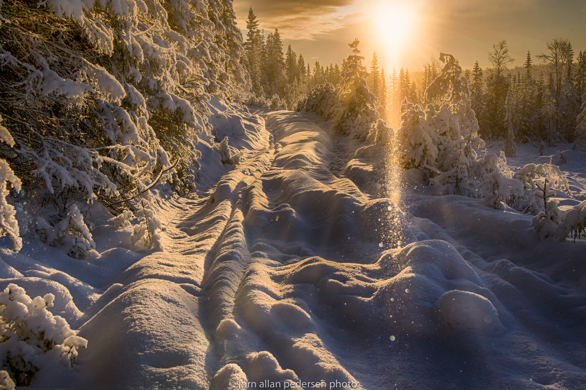 Nikon D3S sample photo. Snow crystals from heaven photography