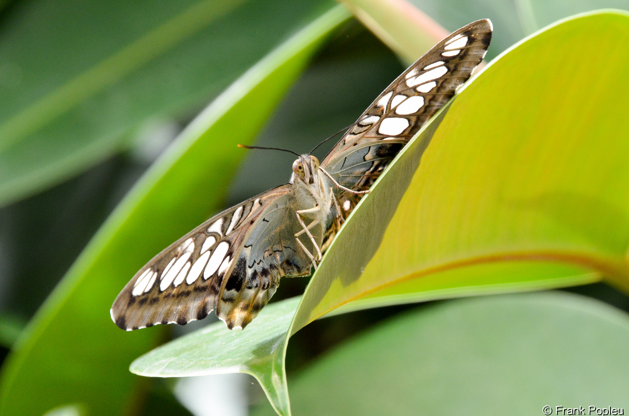 Nikon D7000 + Sigma 18-250mm F3.5-6.3 DC OS HSM sample photo. Ready for lift off photography