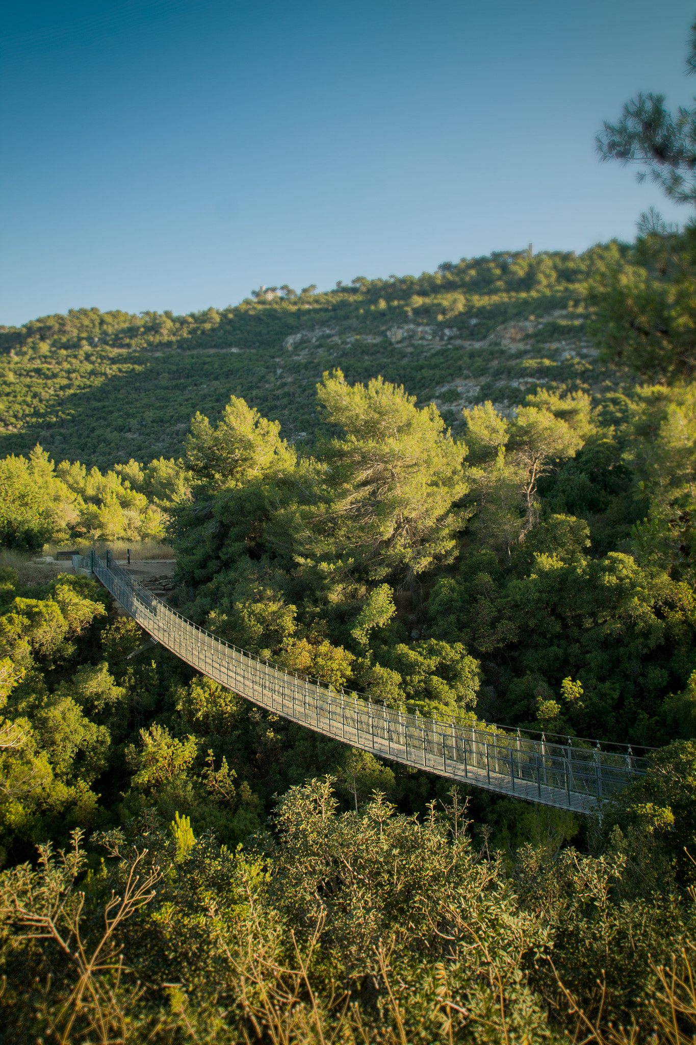Canon EOS 1100D (EOS Rebel T3 / EOS Kiss X50) sample photo. Hanging bridge - nesher park photography
