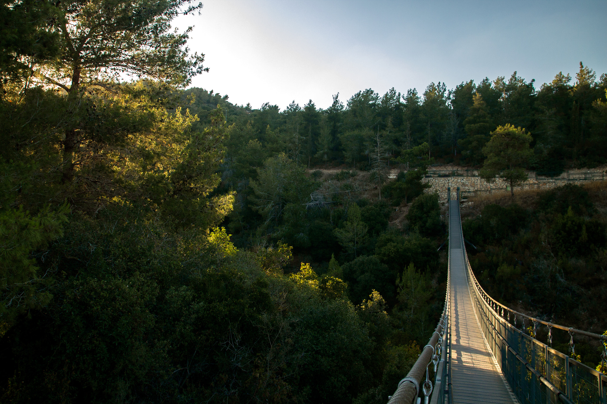 Canon EOS 1100D (EOS Rebel T3 / EOS Kiss X50) sample photo. Hanging bridge - nesher park #2 photography