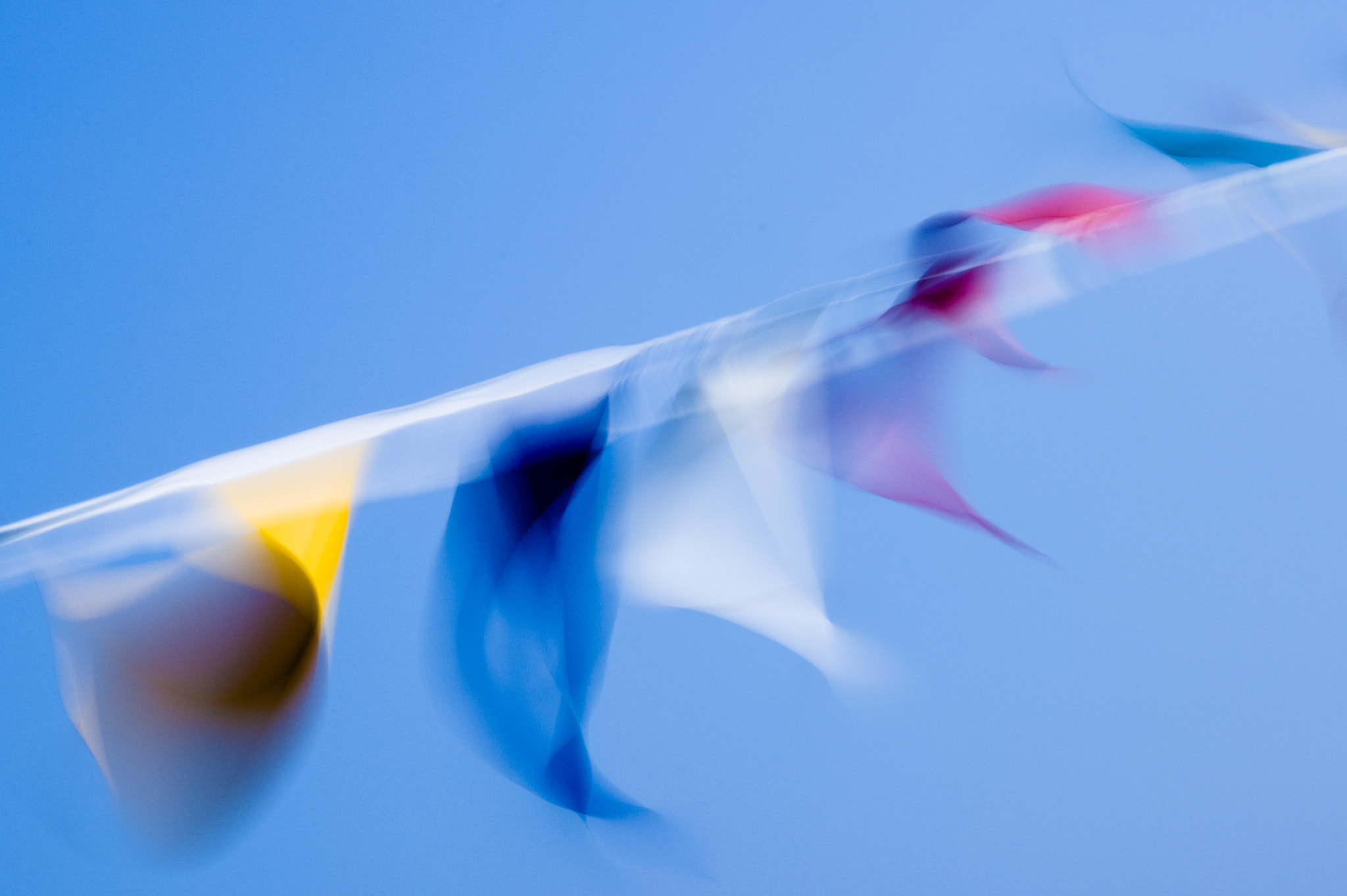 Sigma 17-70mm F2.8-4 DC Macro HSM | C sample photo. Blow photography