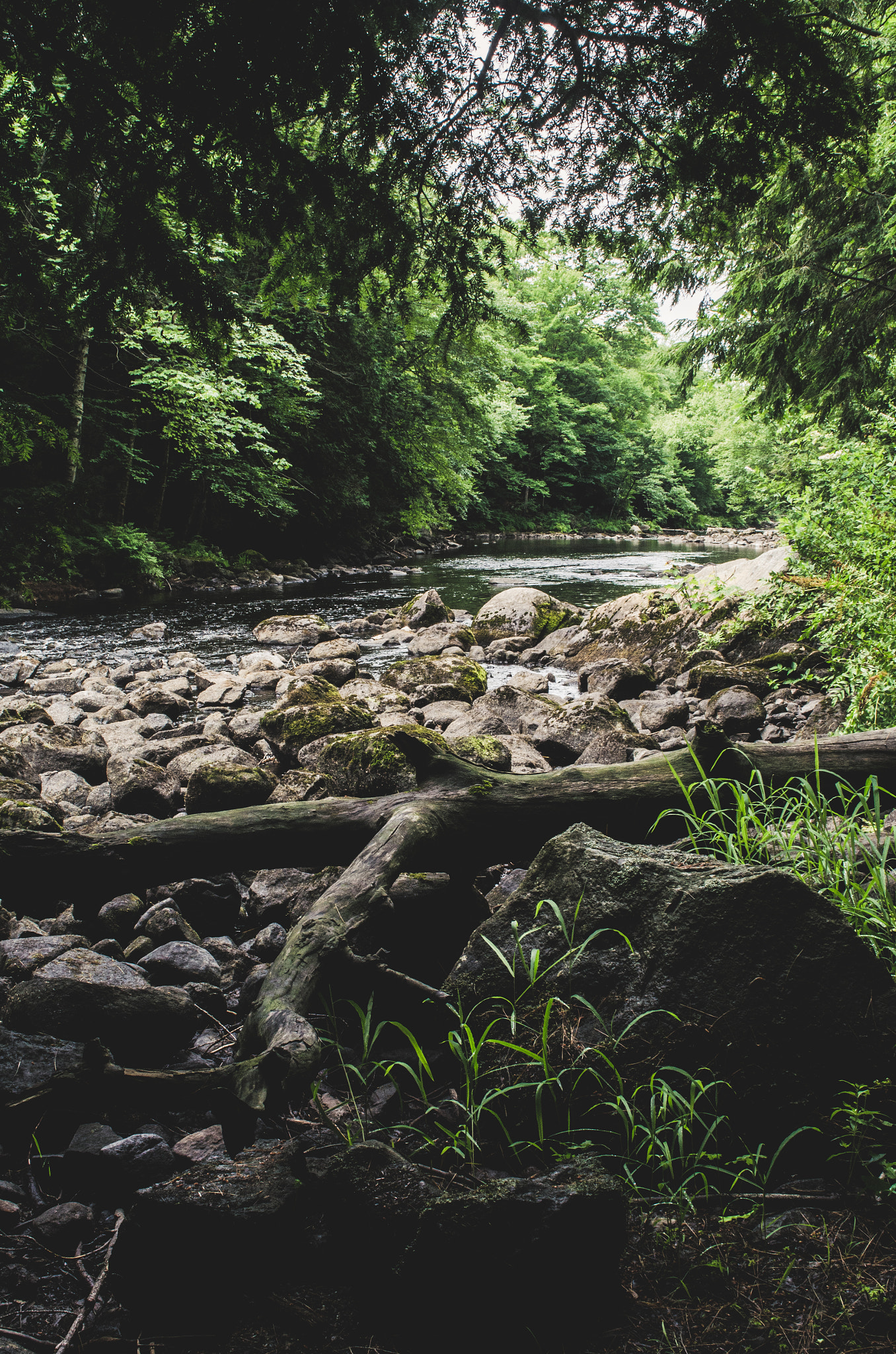 Nikon D5100 + Sigma 24mm F2.8 Super Wide II Macro sample photo. River photography