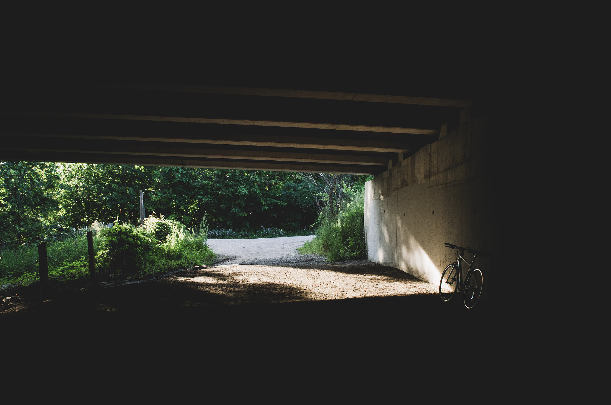 Nikon D5100 + Sigma 24mm F2.8 Super Wide II Macro sample photo. Riverwood trail photography