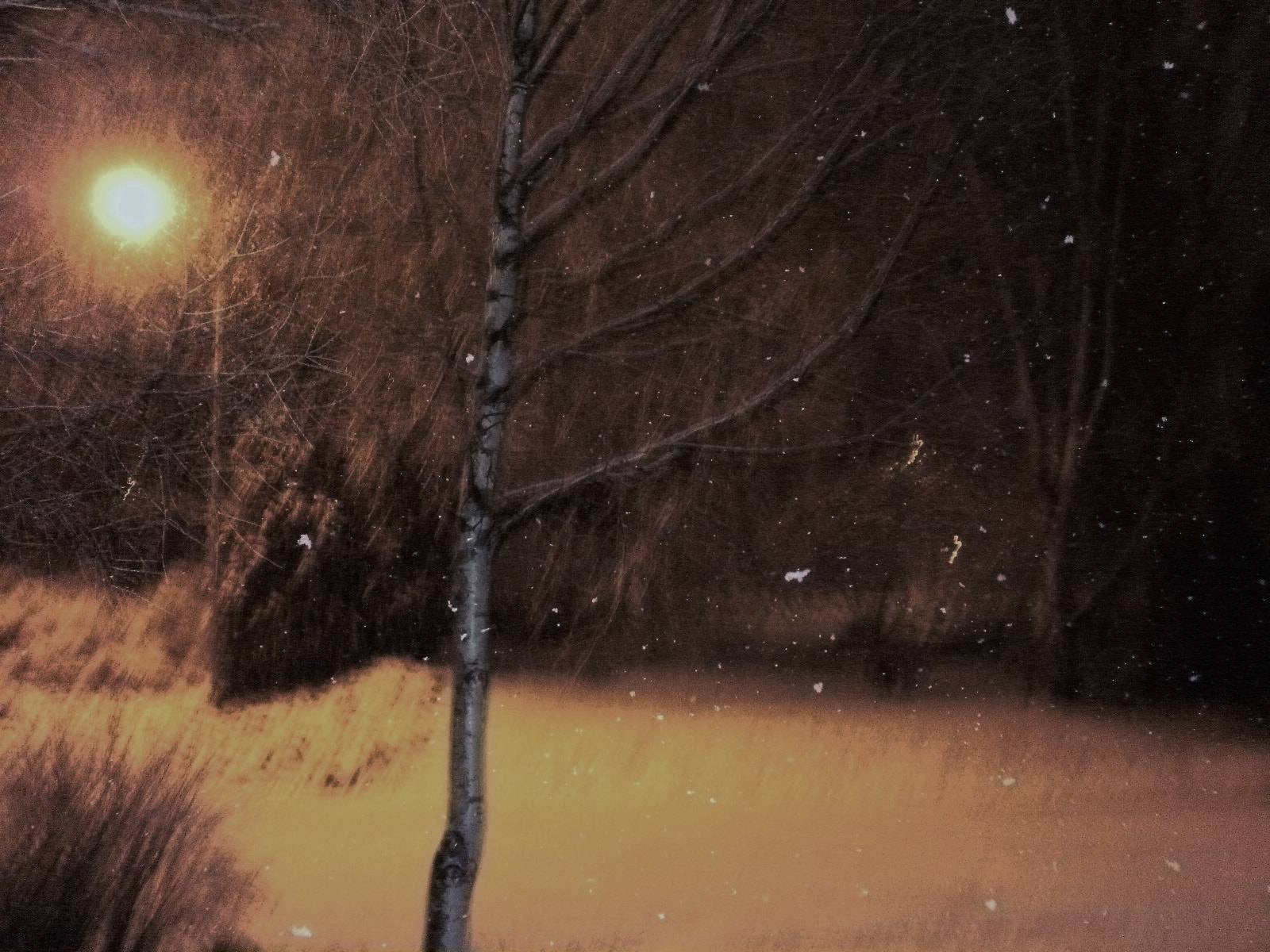 Olympus FE46,X41,X42 sample photo. April snow 1 photography