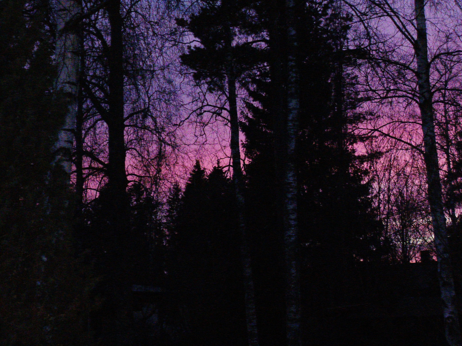Olympus FE46,X41,X42 sample photo. Magical evening photography