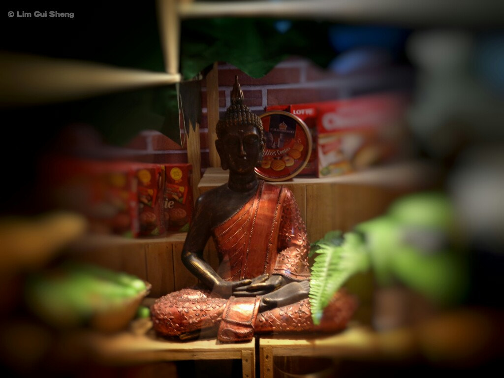 Sony DSC-W650 sample photo. Buddha bless you.... photography