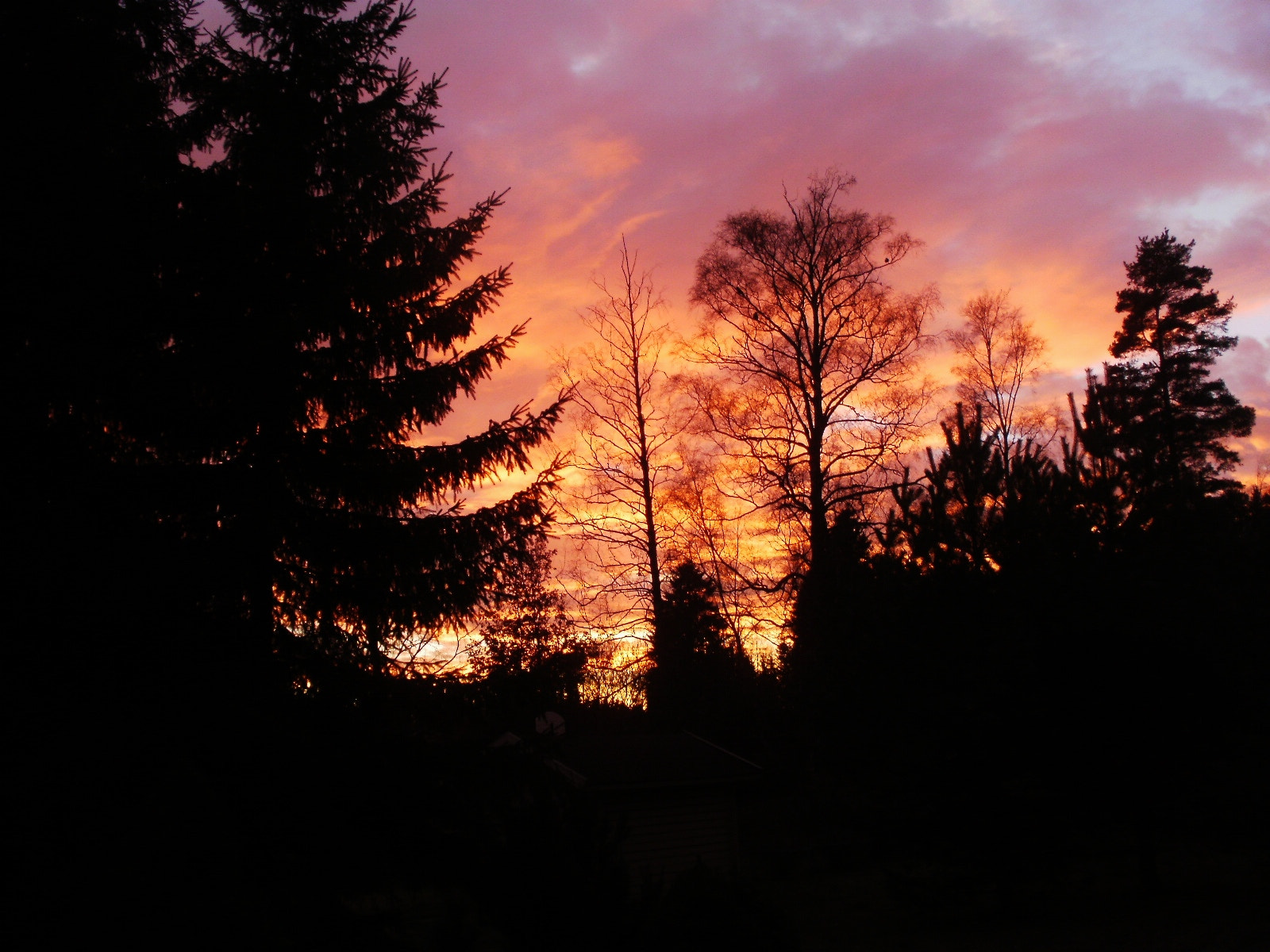 Olympus FE46,X41,X42 sample photo. Skies on fire photography