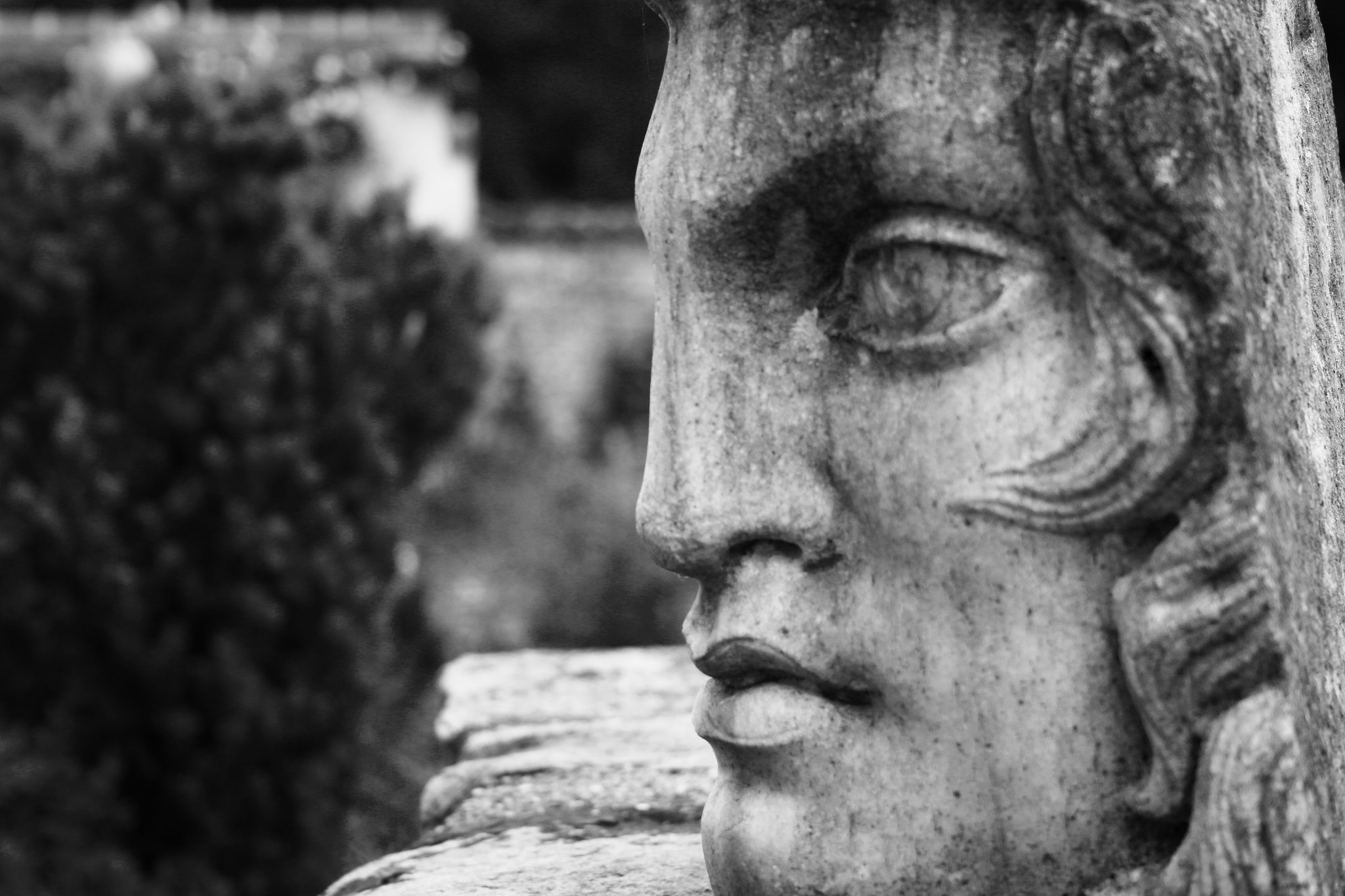 Canon EF-S 18-55mm F3.5-5.6 sample photo. Dans les jardins de cocteau photography