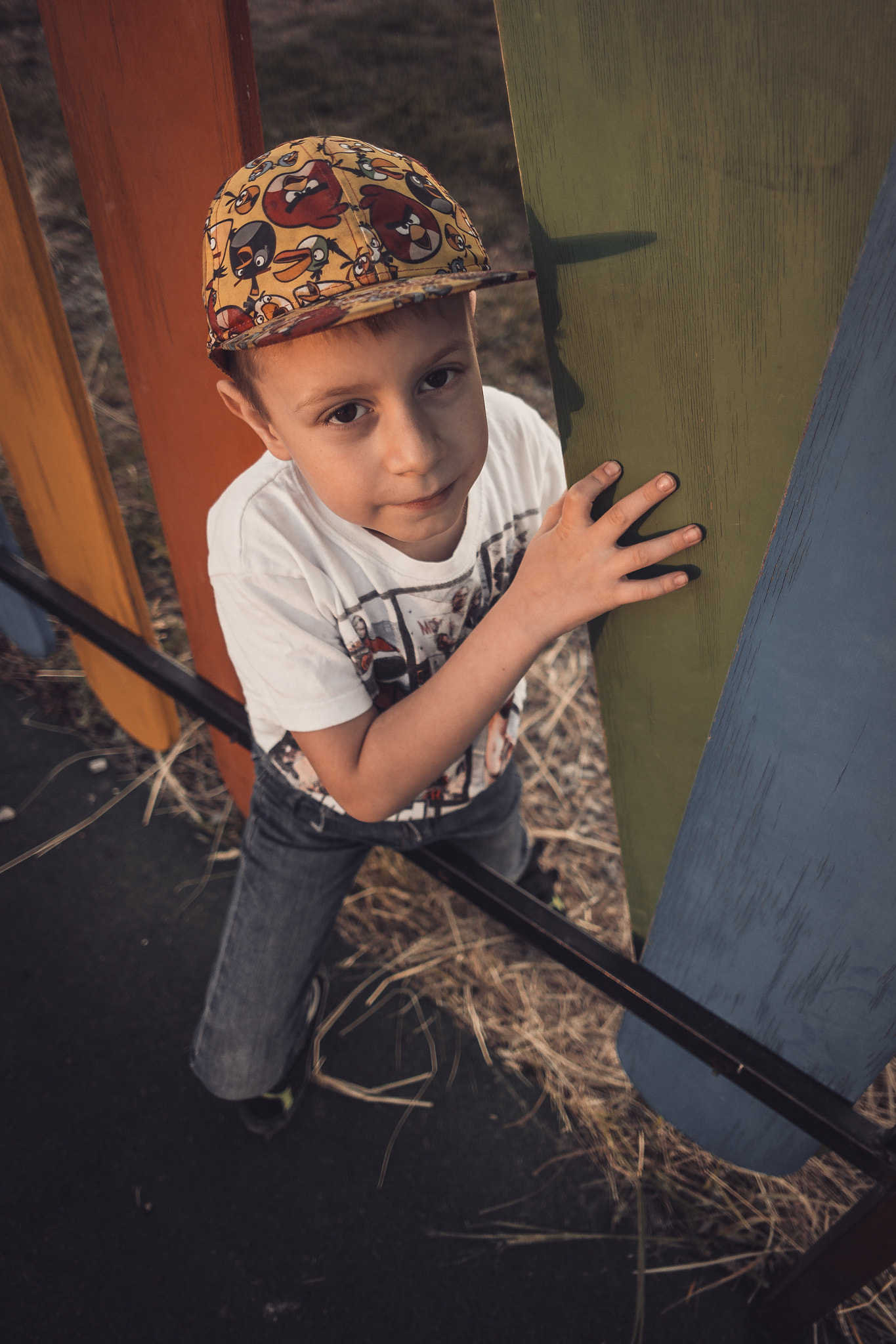 Samsung NX 16mm F2.4 Pancake sample photo. Brown walk photography