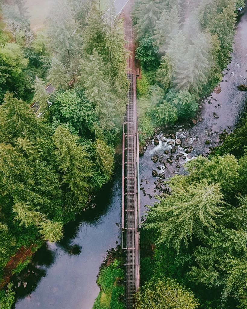 Searched and found. by Nick Verbelchuk on 500px.com